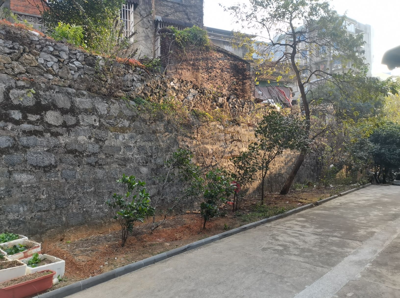桂林静江府城墙旅行图片 2