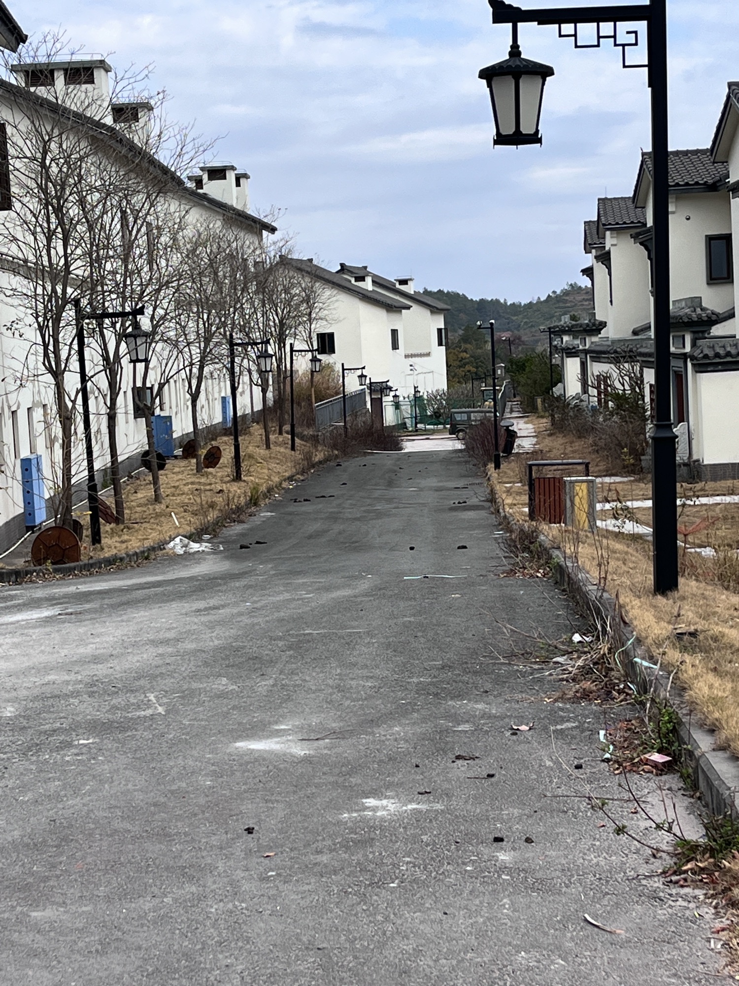 公白恒大花海旅行图片 1