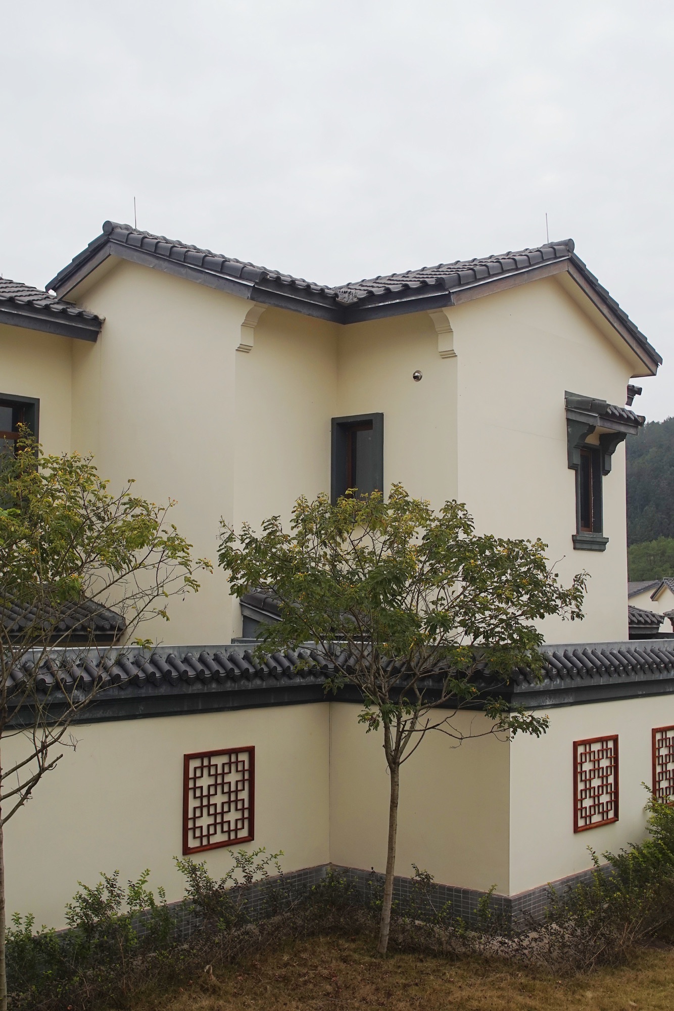 公白恒大花海旅行图片 2