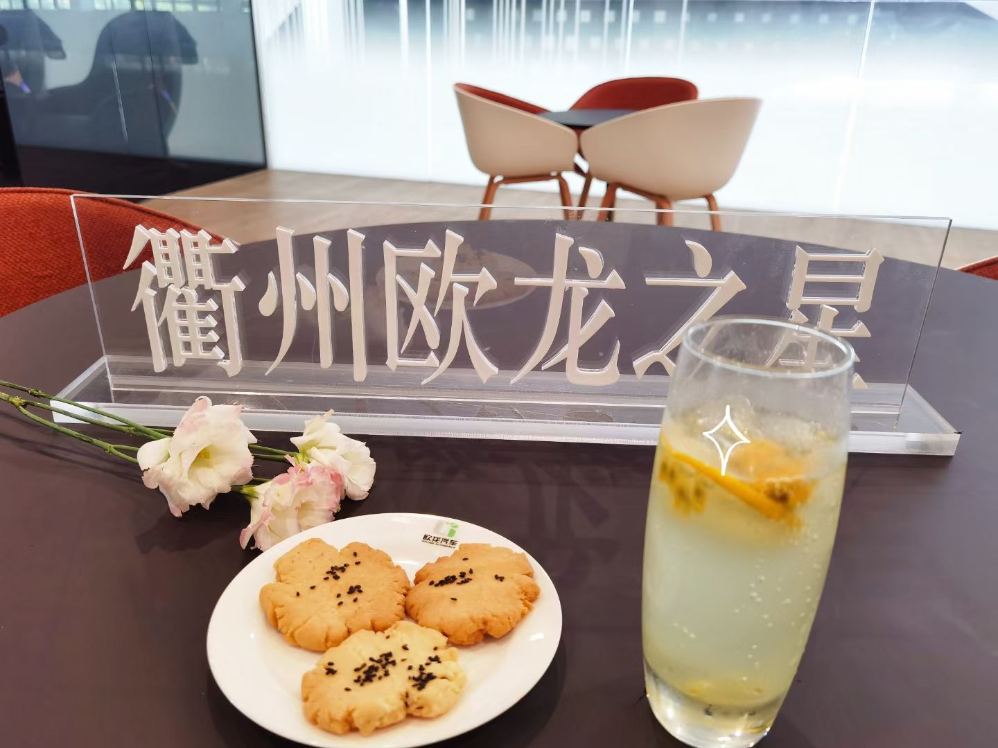 衢州欧龙之星汽车有限公司