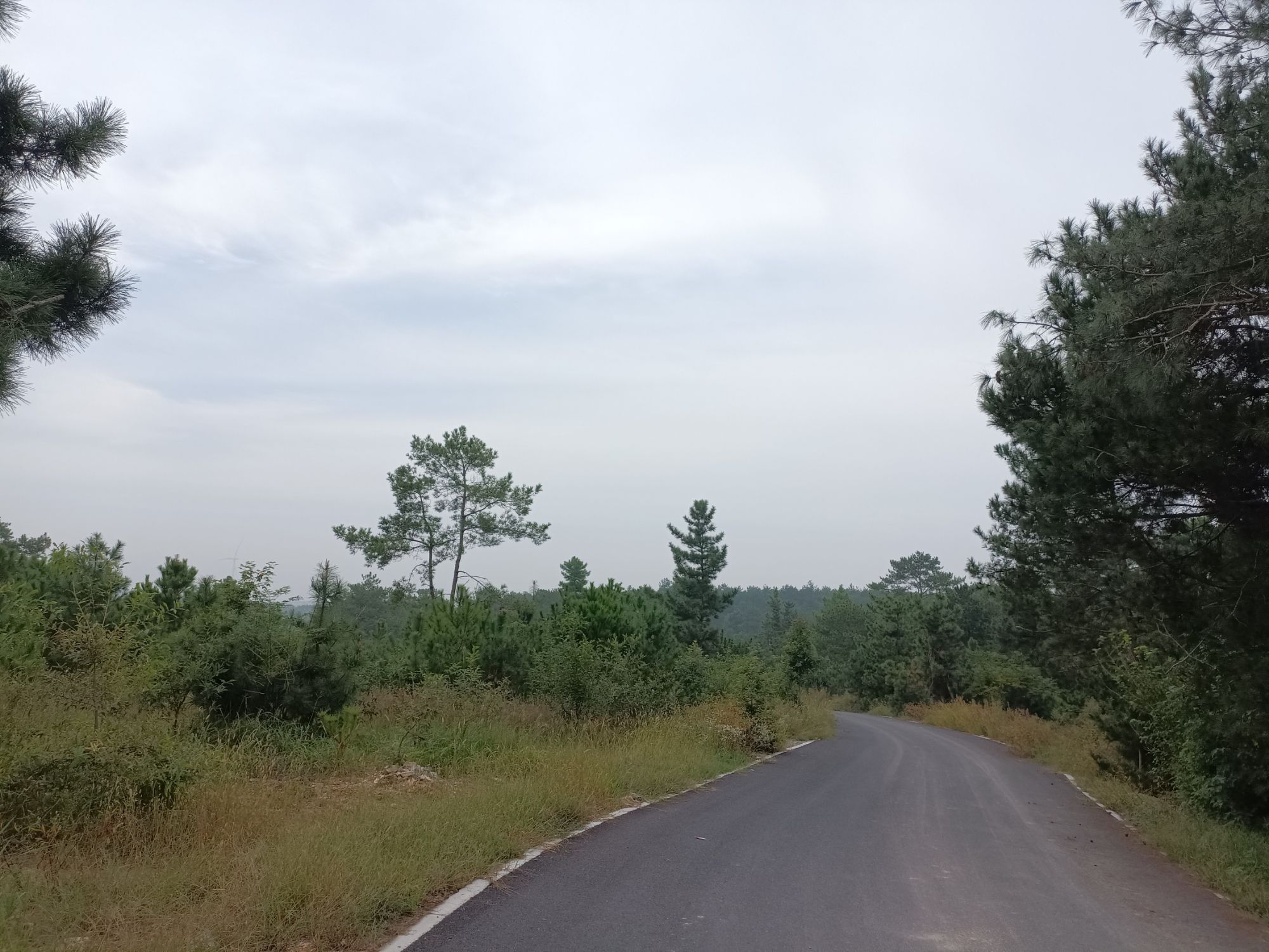 安徽老嘉山国家森林自然公园旅行图片 2