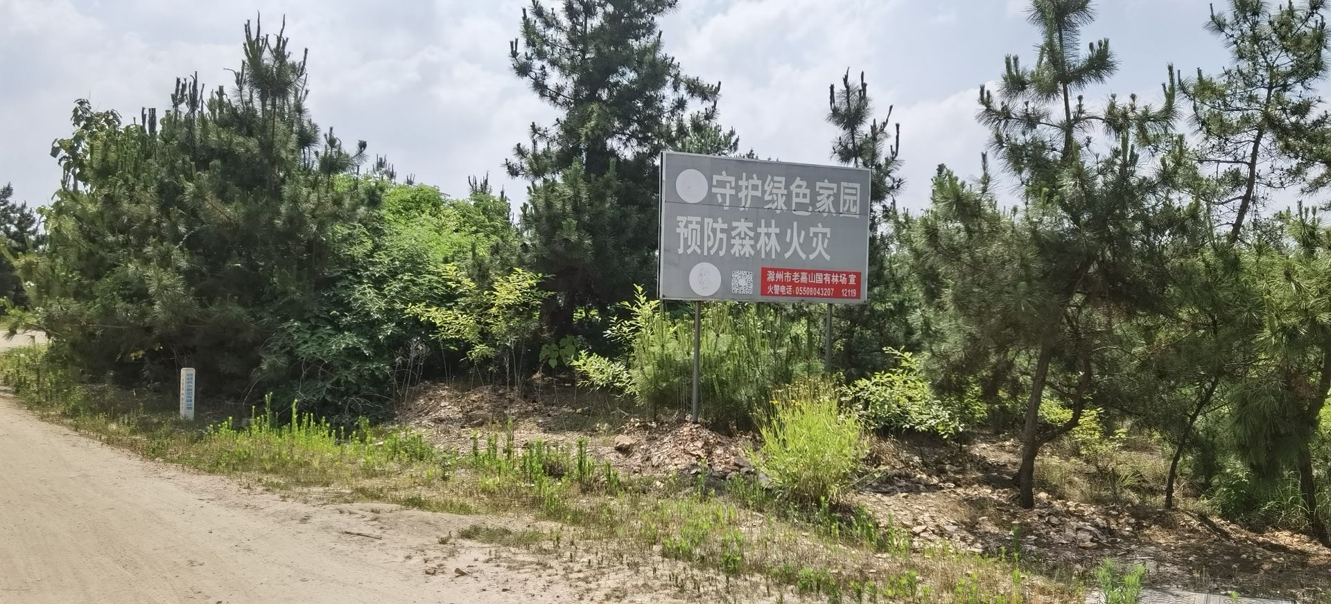 安徽老嘉山国家森林自然公园旅行图片 3