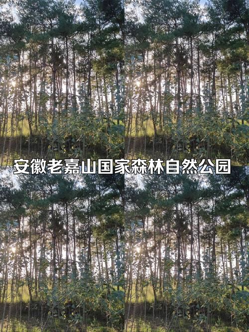 安徽老嘉山国家森林自然公园旅行图片 1