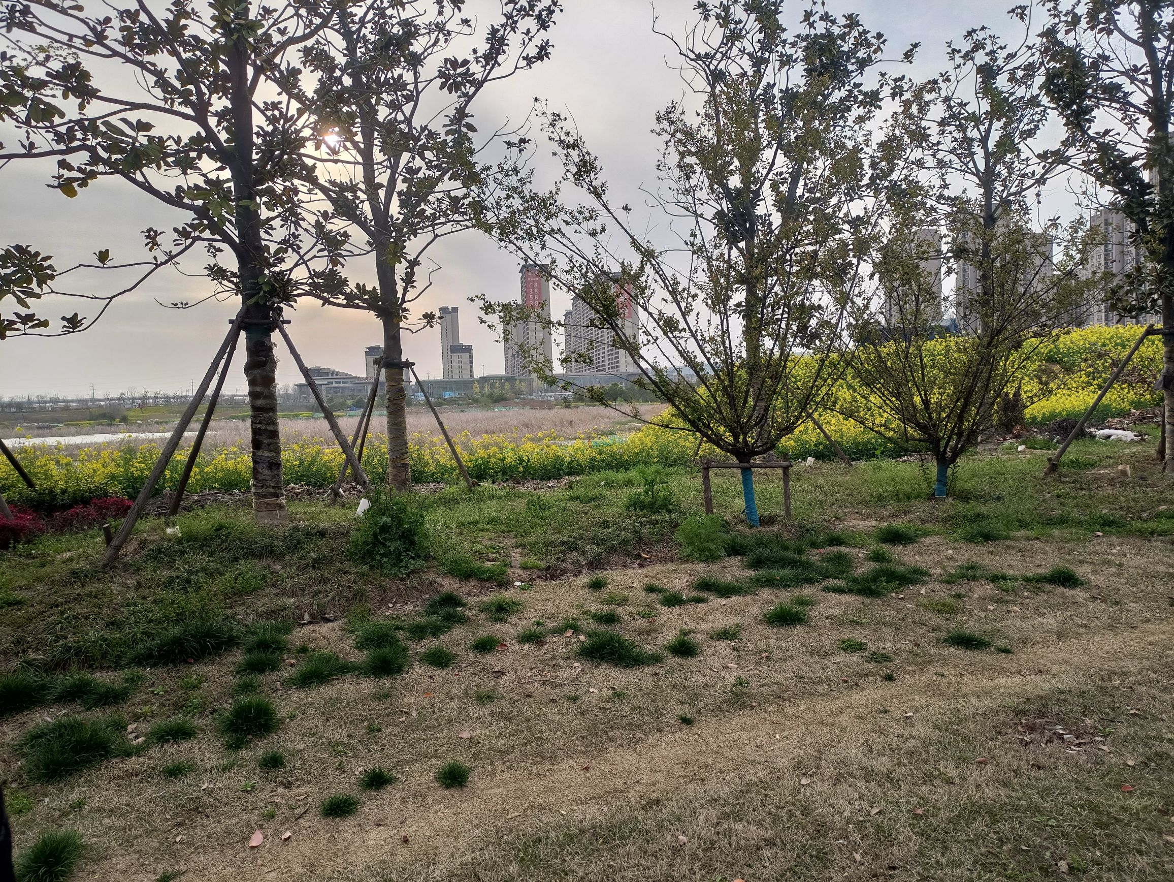 鳌鱼塘公园旅行图片 2