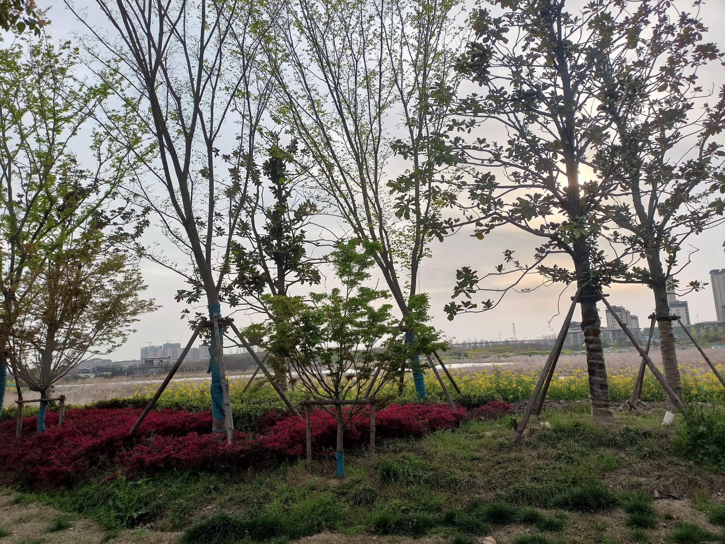 鳌鱼塘公园旅行图片 1