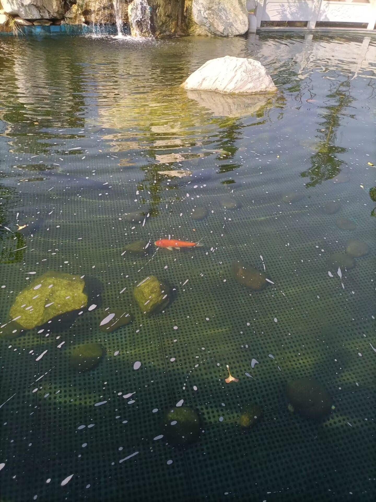 龙吟滩湿地公园旅行图片 3