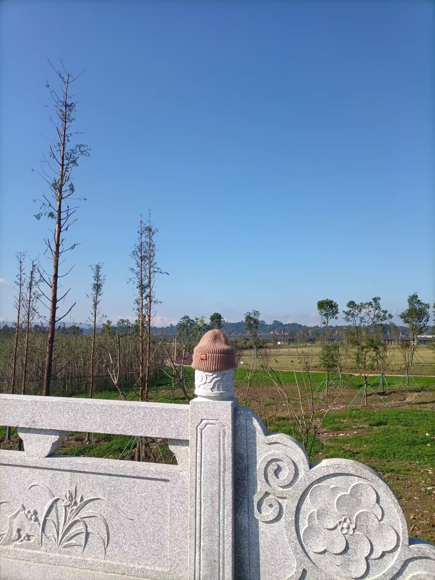 龙吟滩湿地公园旅行图片 2