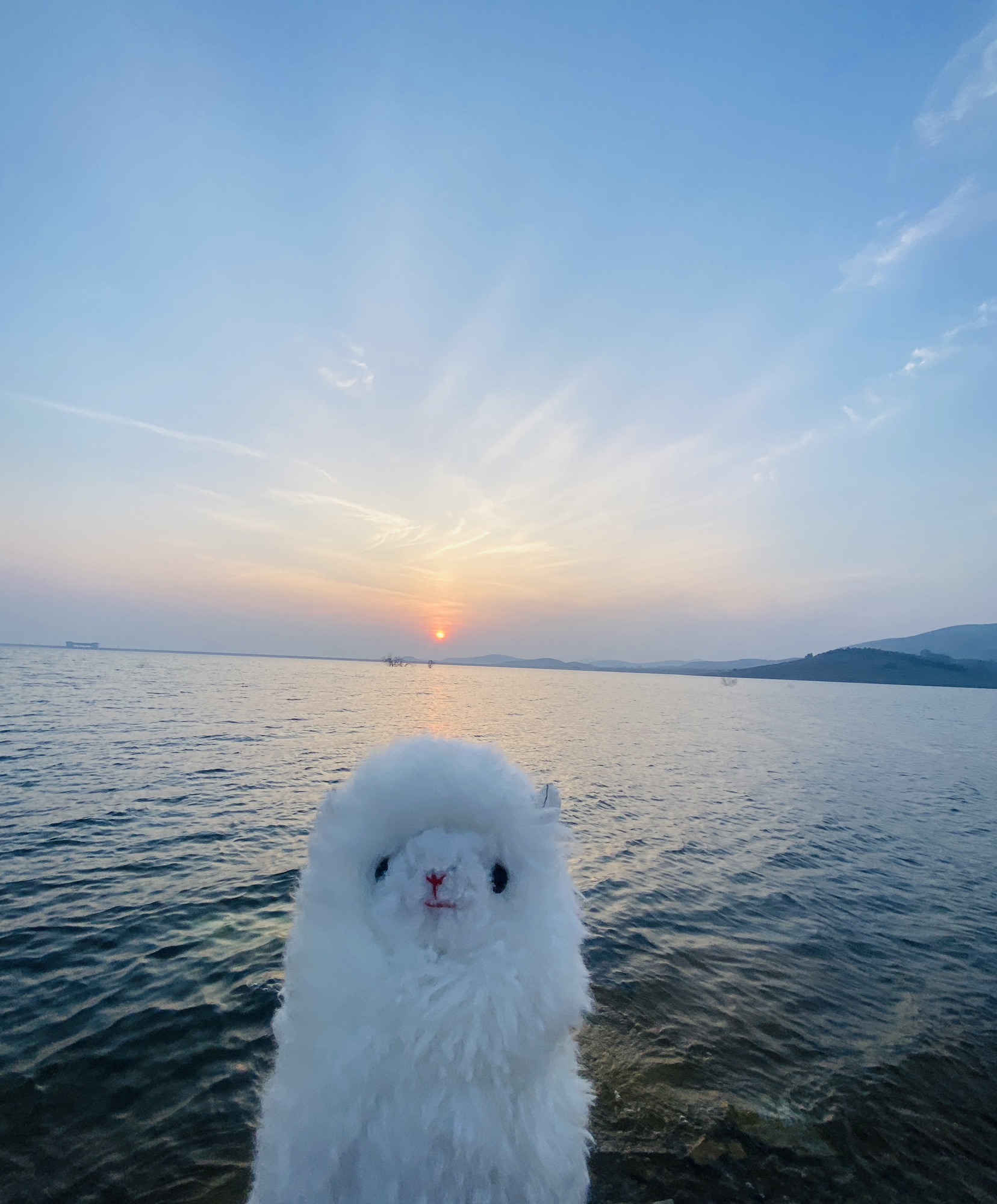 山亭庄里水库观景台旅行图片 2