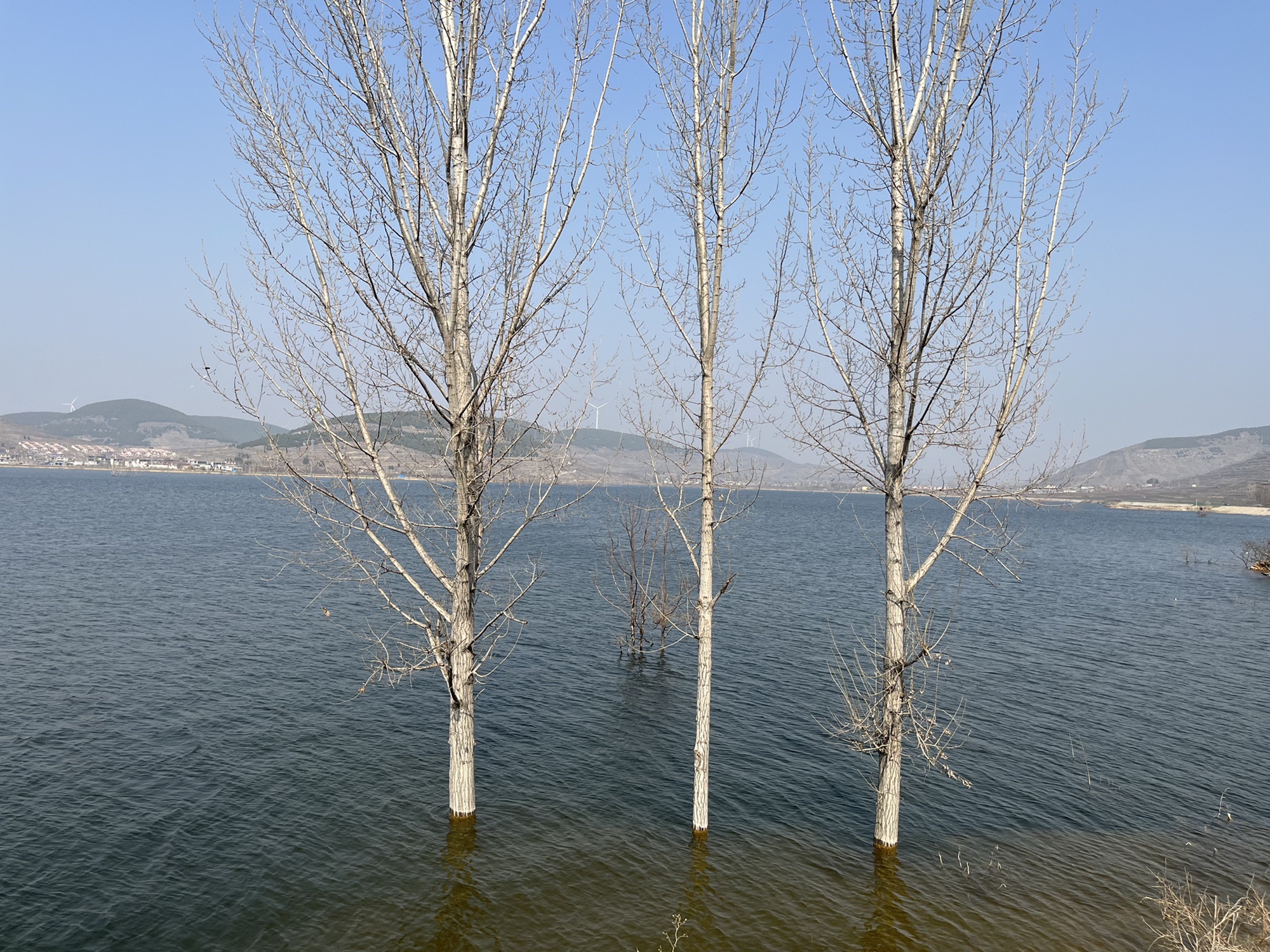 山亭庄里水库观景台旅行图片 2