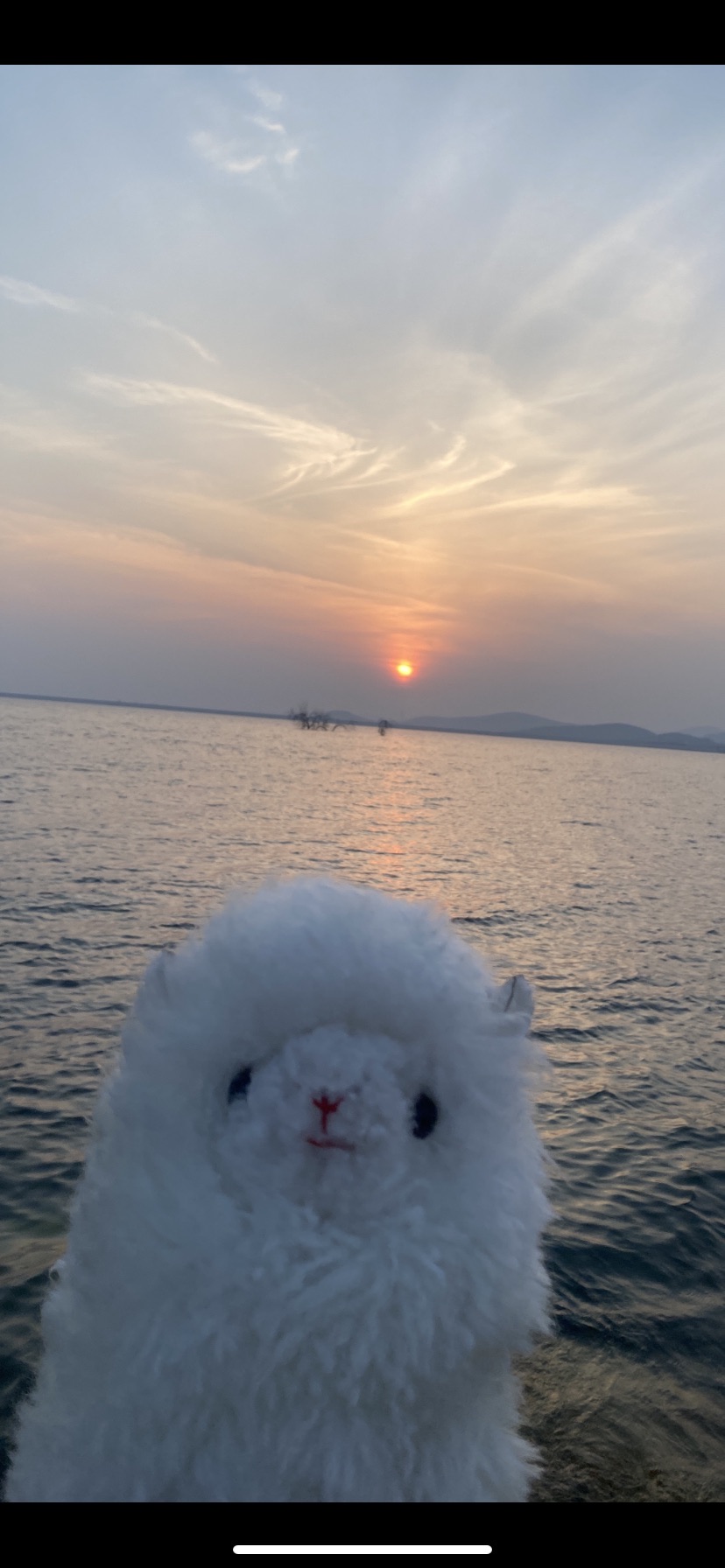 山亭庄里水库观景台旅行图片 3
