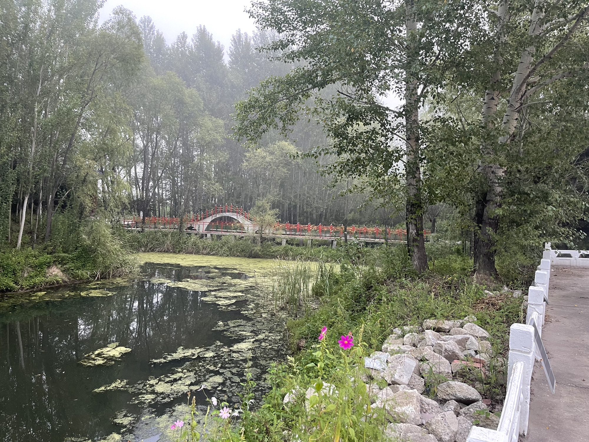 日月塔旅行图片 3