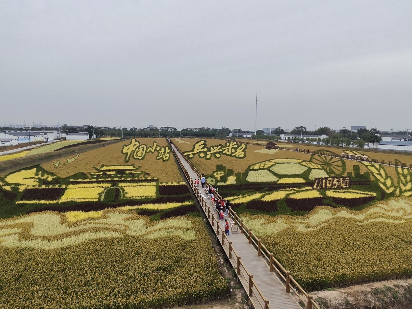 小站稻会馆种植核心区旅行图片 1