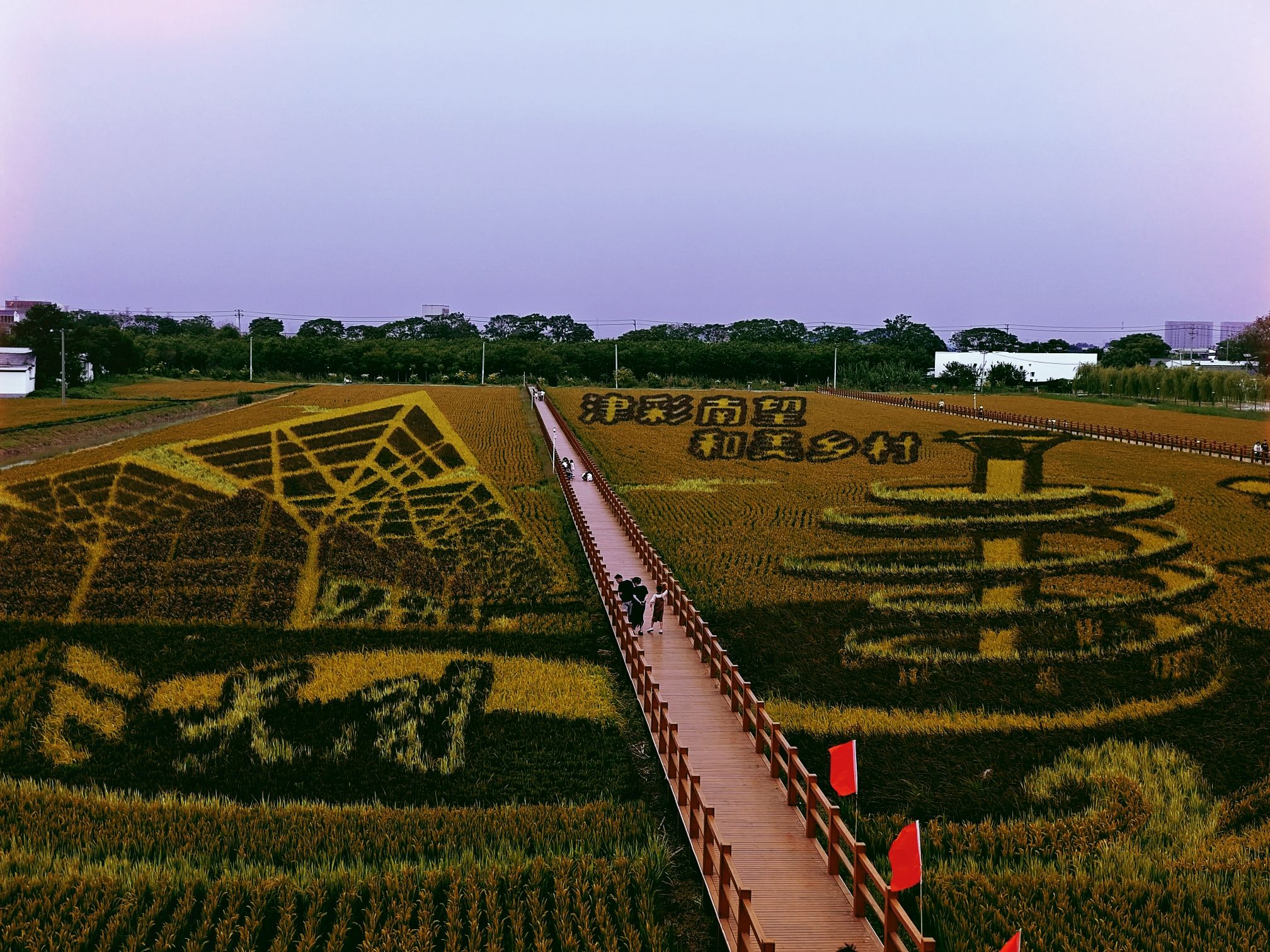 小站稻会馆种植核心区旅行图片 2