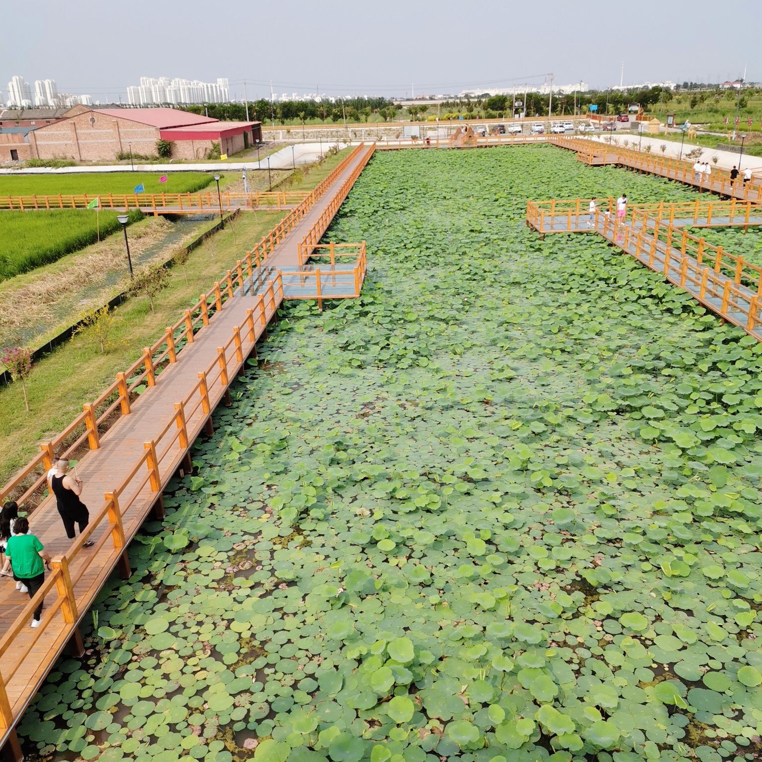小站稻会馆种植核心区旅行图片 2