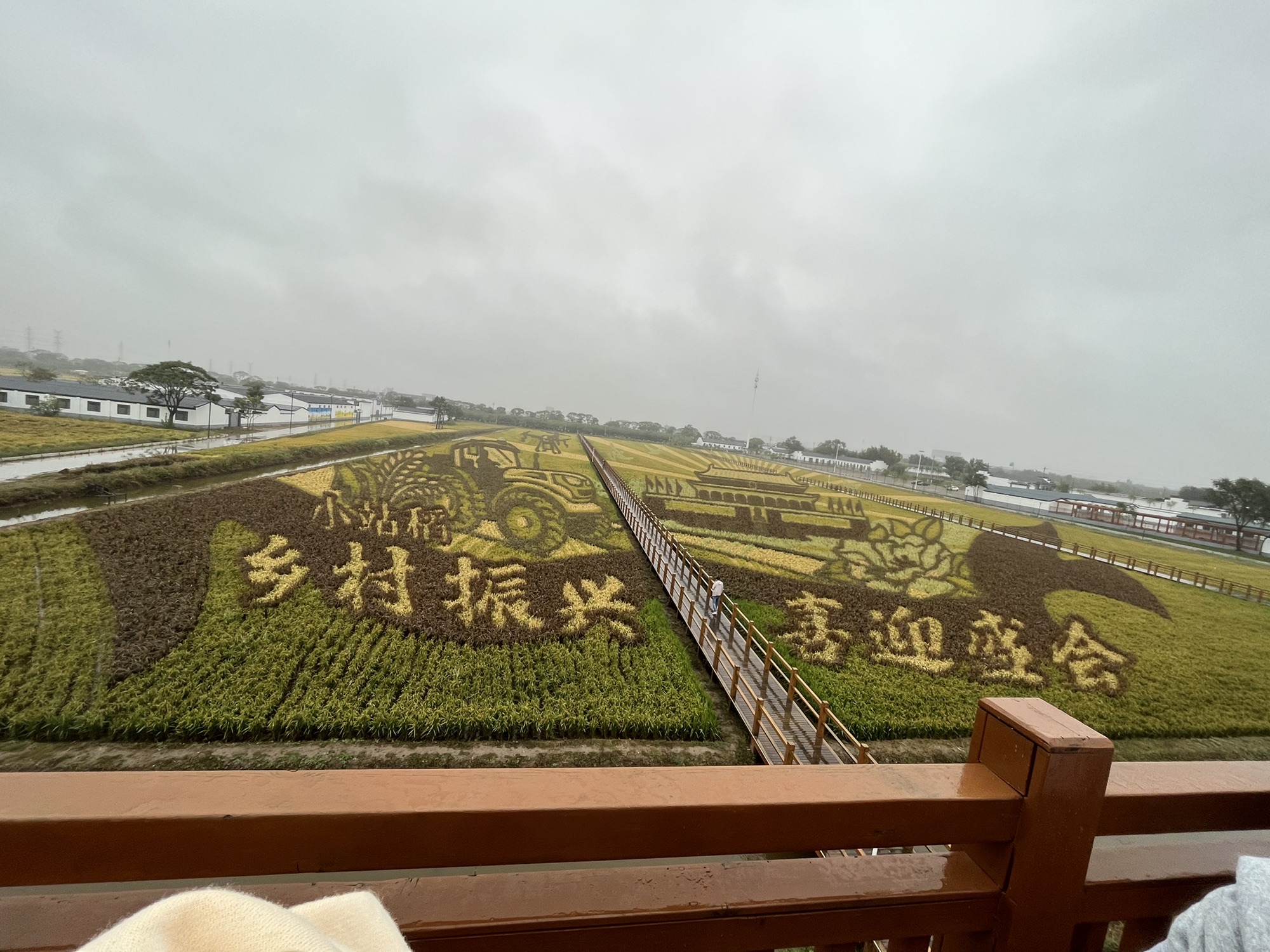 小站稻会馆种植核心区旅行图片 1