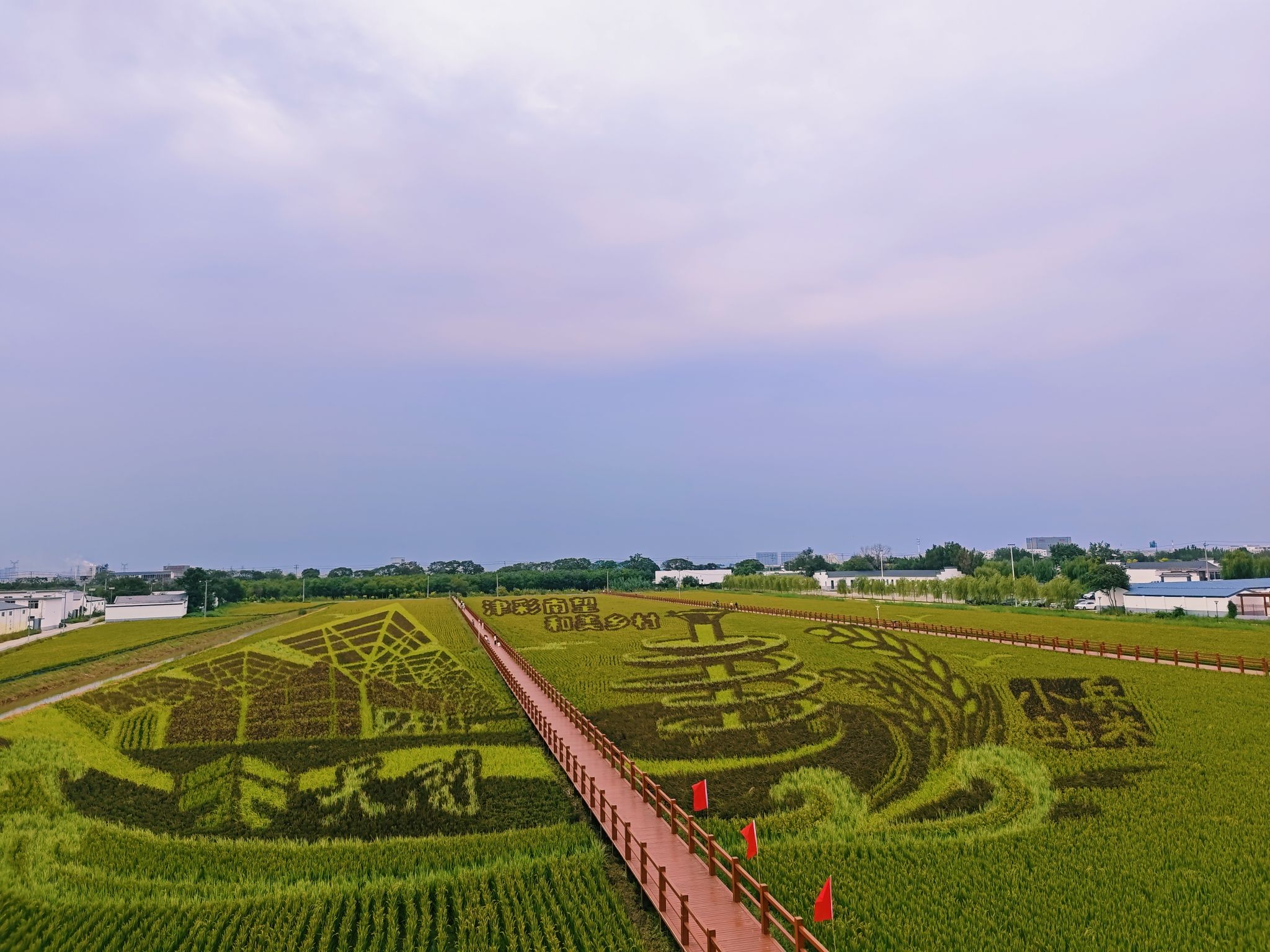小站稻会馆种植核心区旅行图片 3