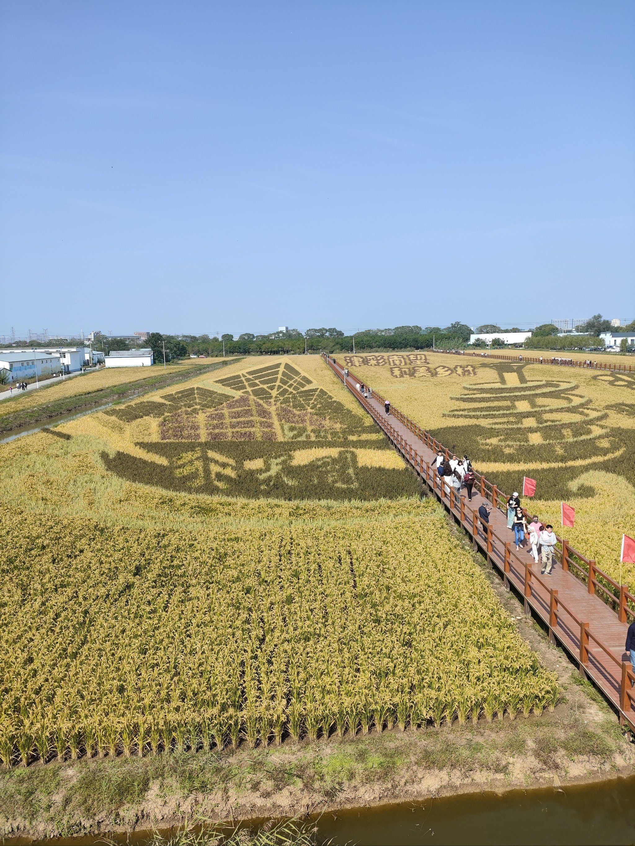 小站稻会馆种植核心区旅行图片 1