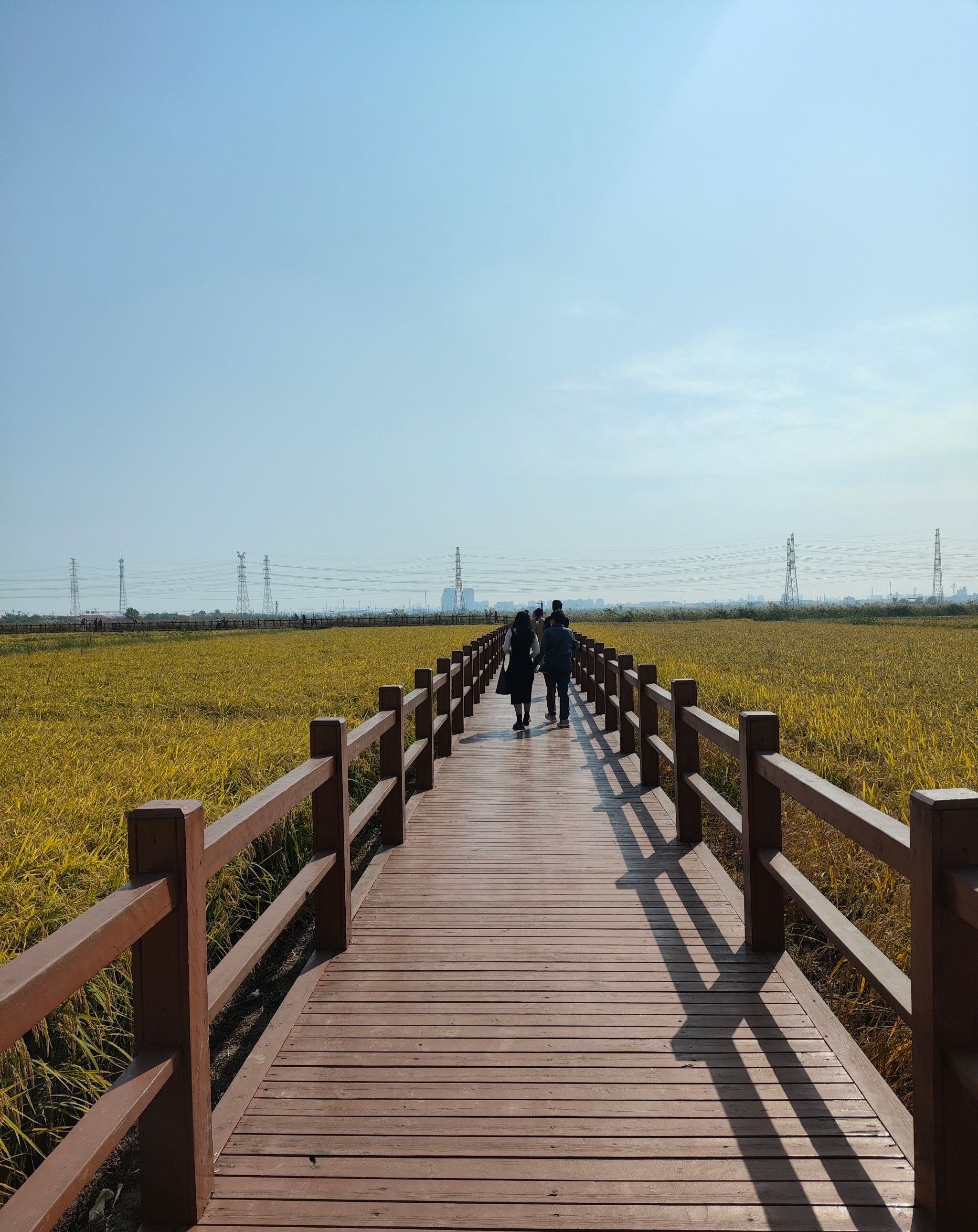 小站稻会馆种植核心区旅行图片 3