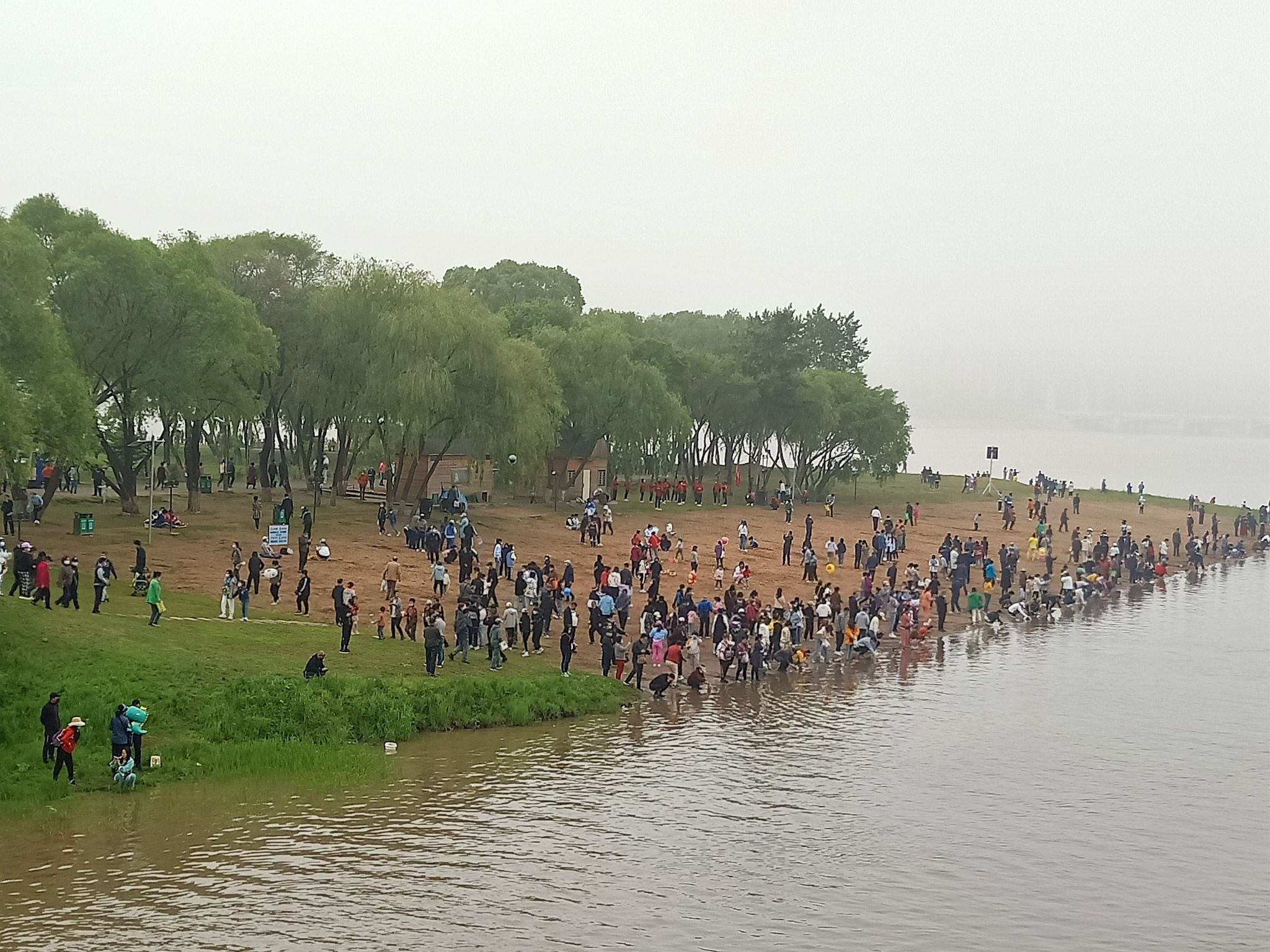 中兴村花海旅行图片 2