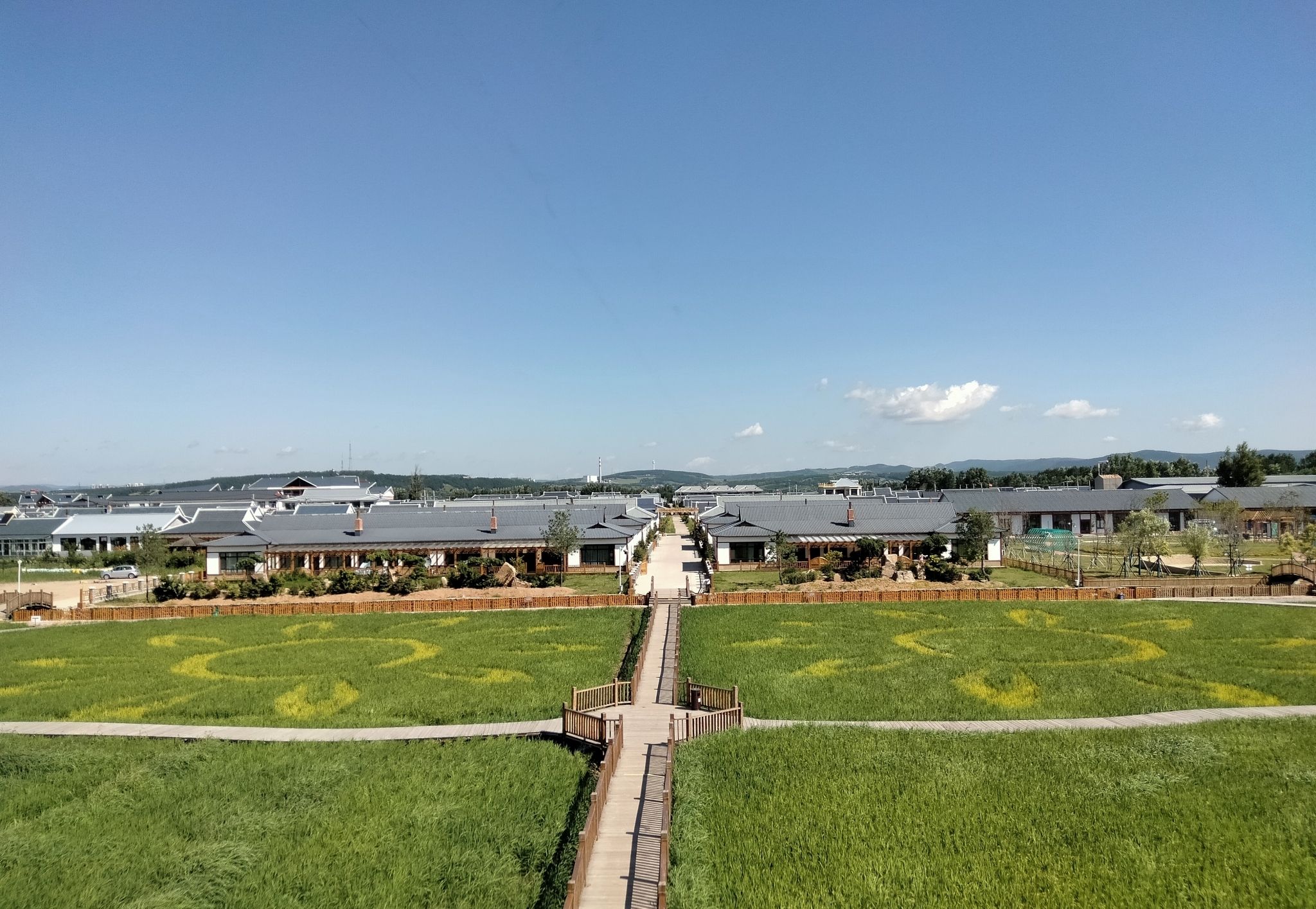 中兴村花海旅行图片 2
