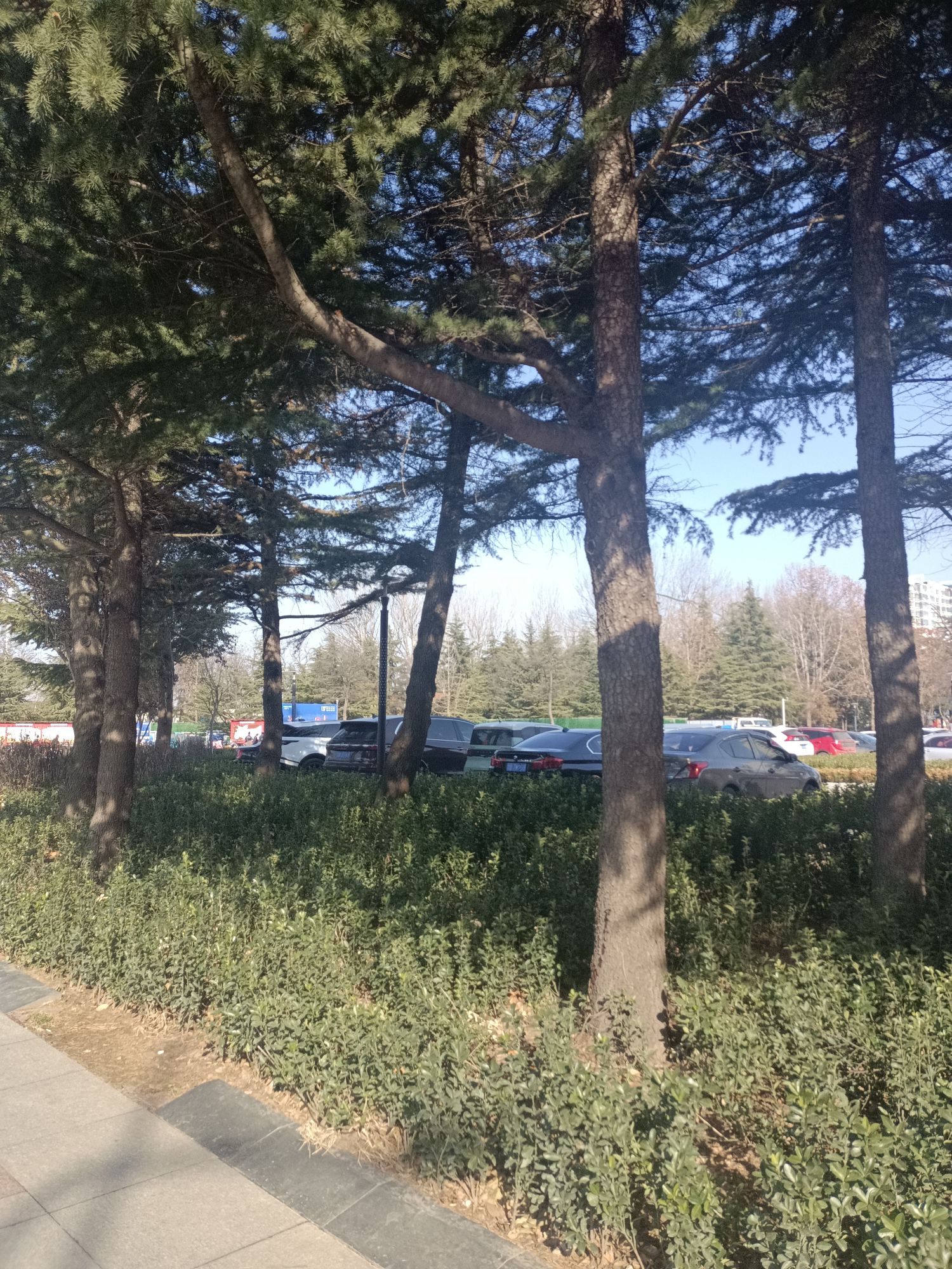 总体国家安全观主题公园旅行图片 3
