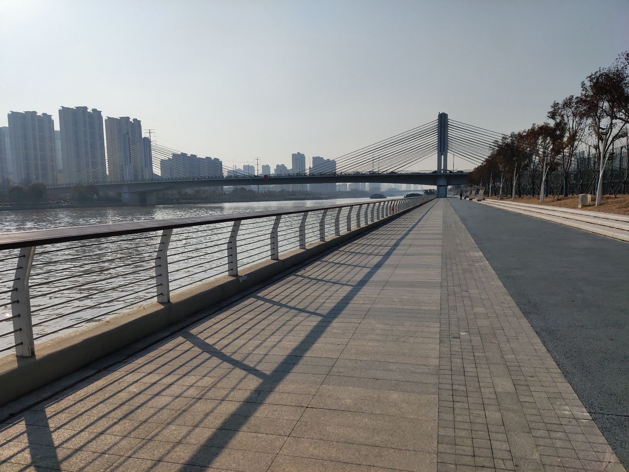 东港体育公园旅行图片 3