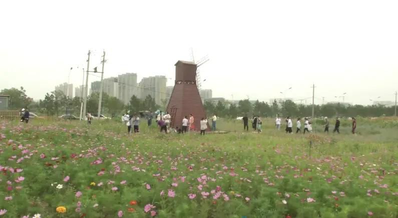 天骄花苑旅行图片 3