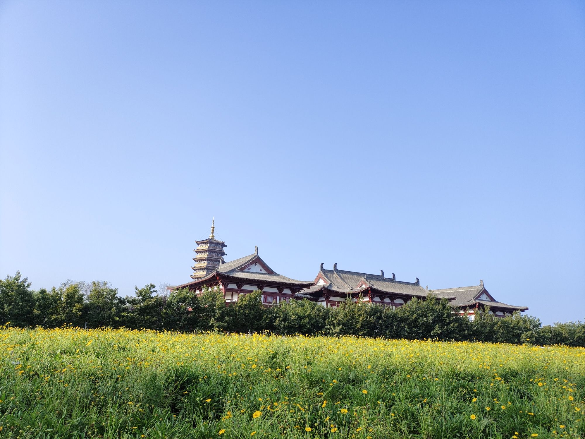 北湖花海旅行图片 3
