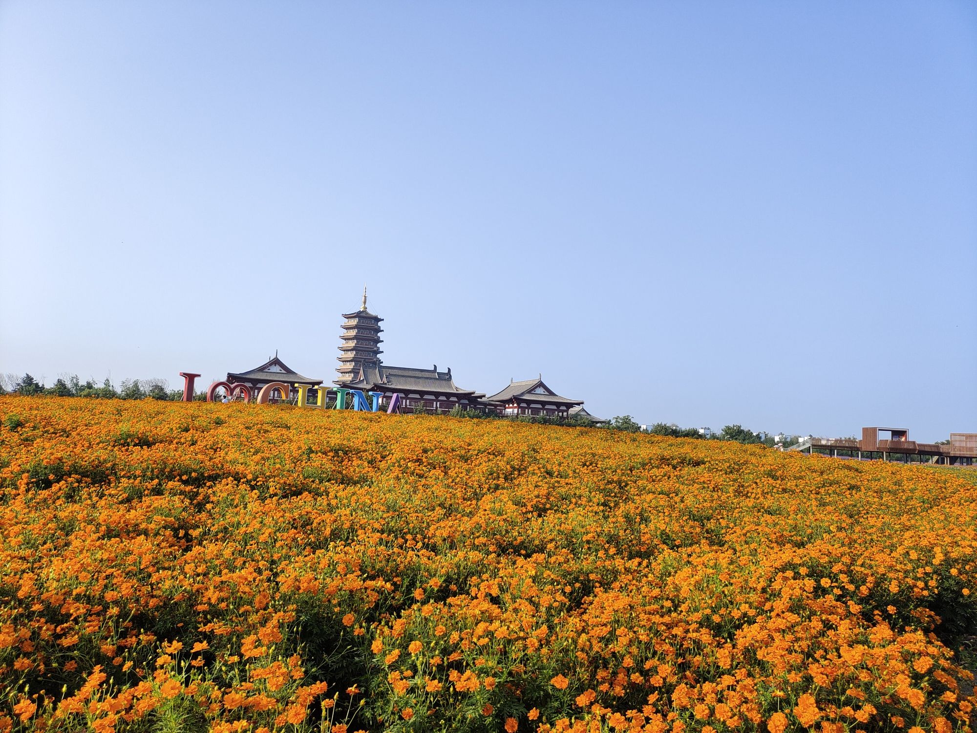 北湖花海旅行图片 2