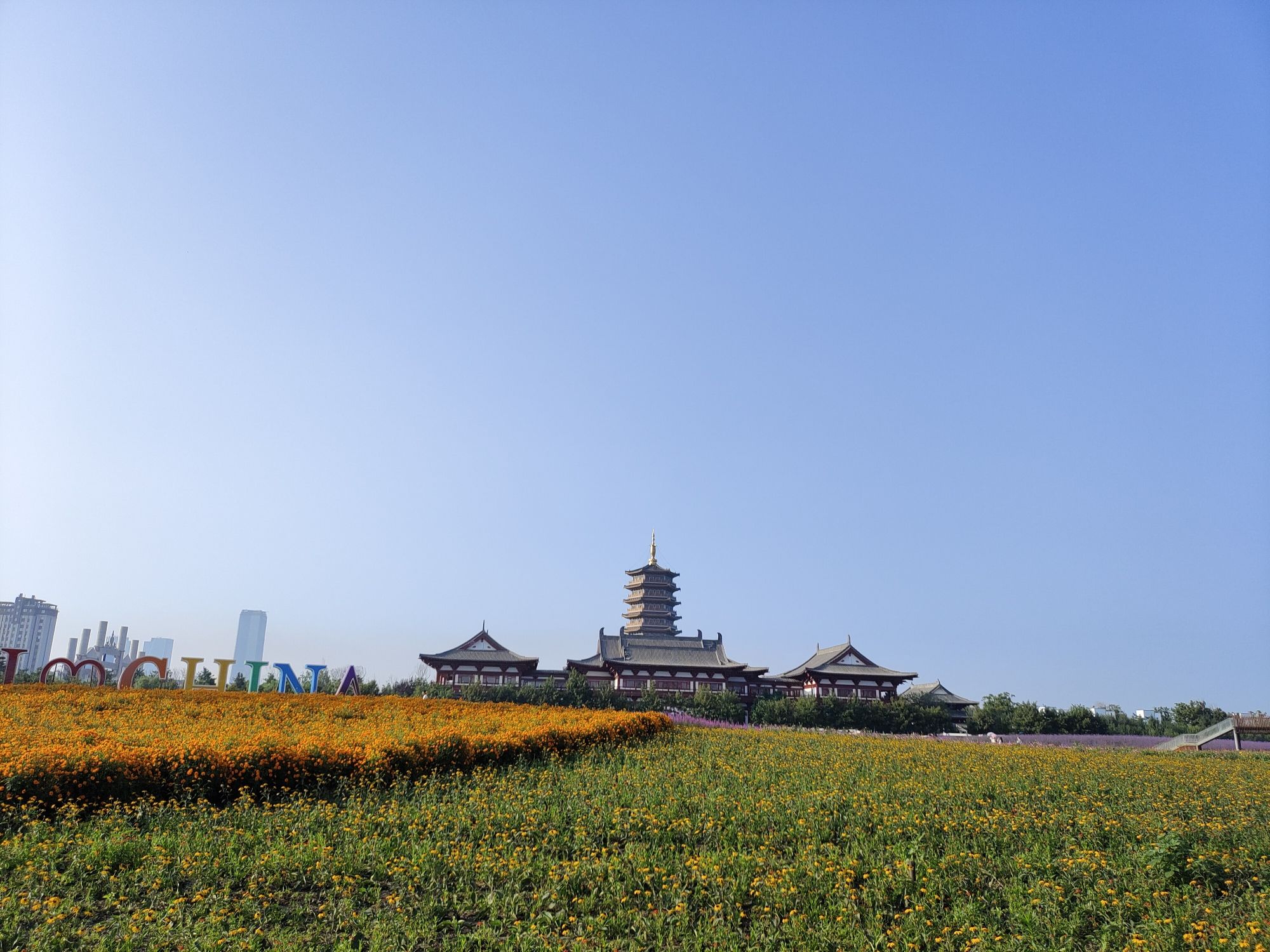 北湖花海旅行图片 1