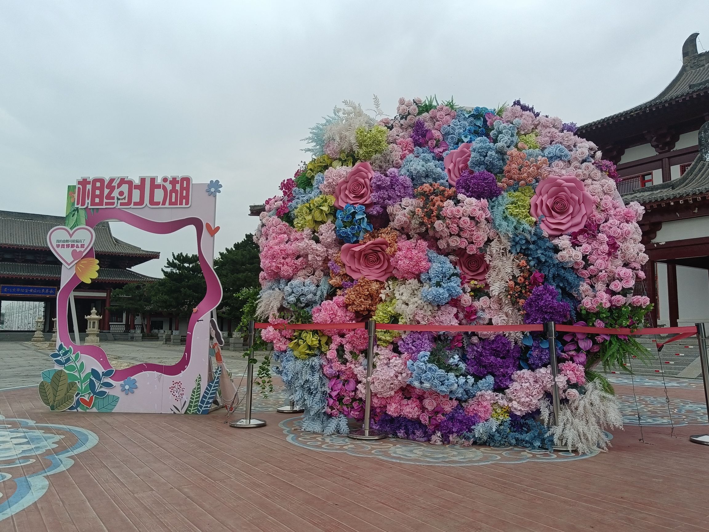 北湖花海旅行图片 1