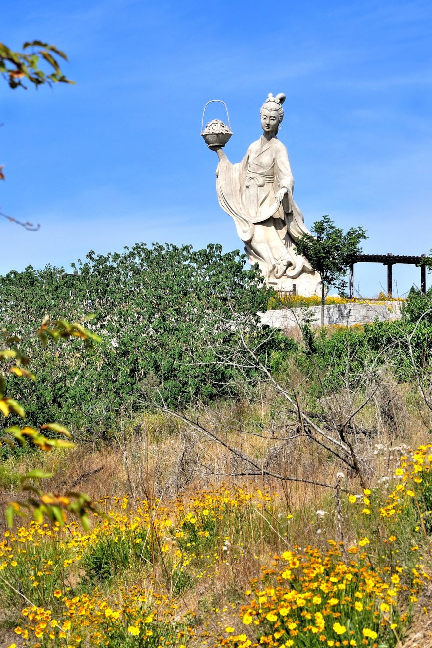 天女散花旅行图片 2
