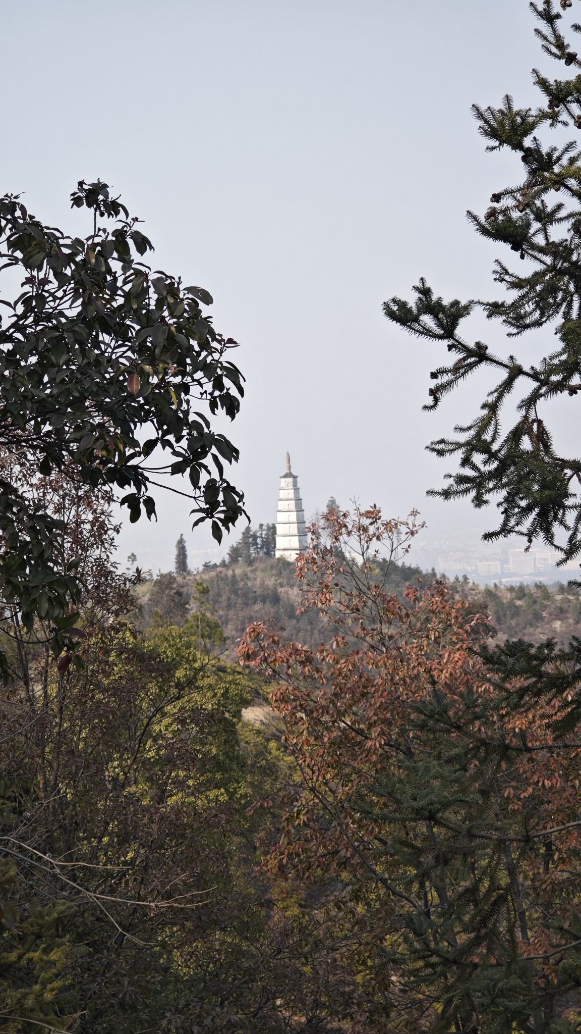 龙峰塔旅行图片 3