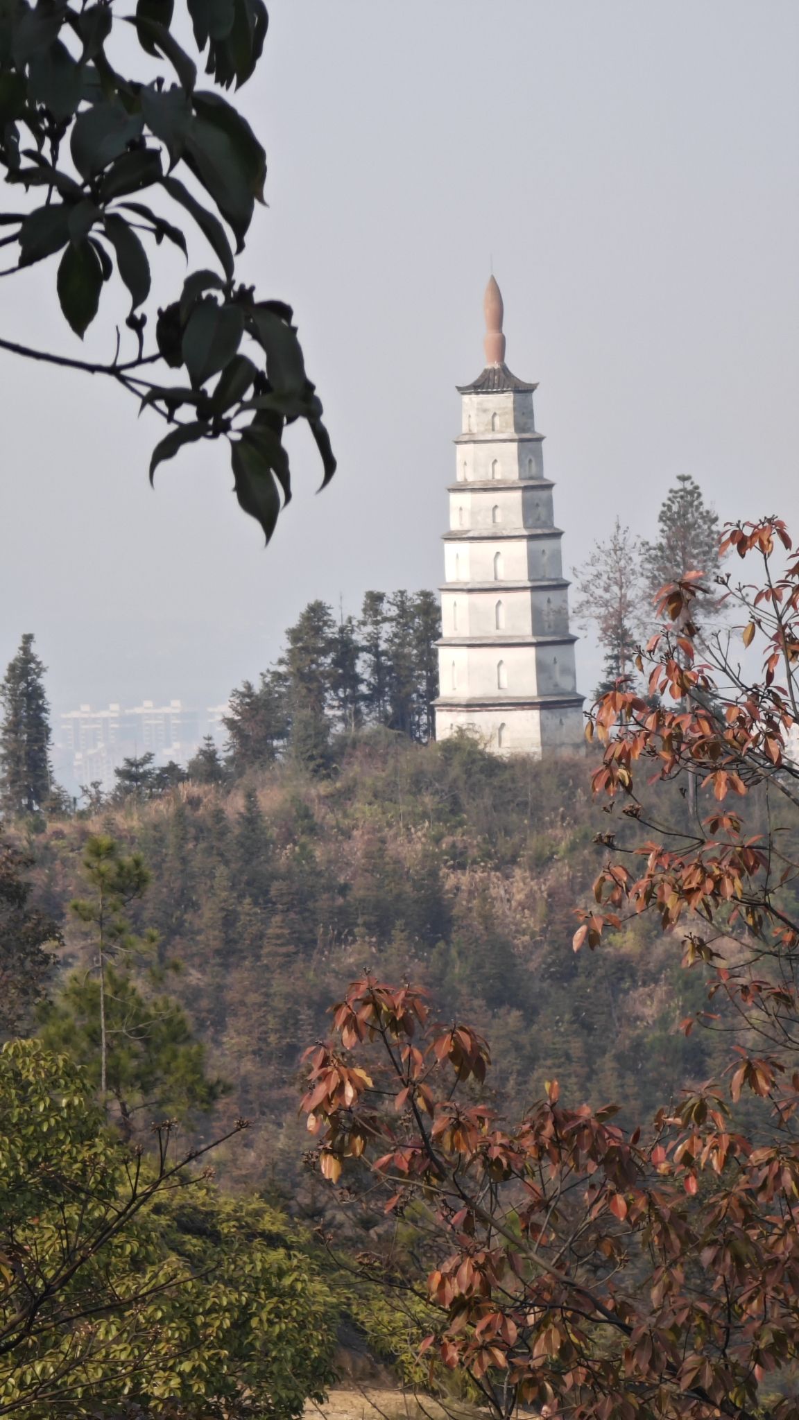 龙峰塔旅行图片 2