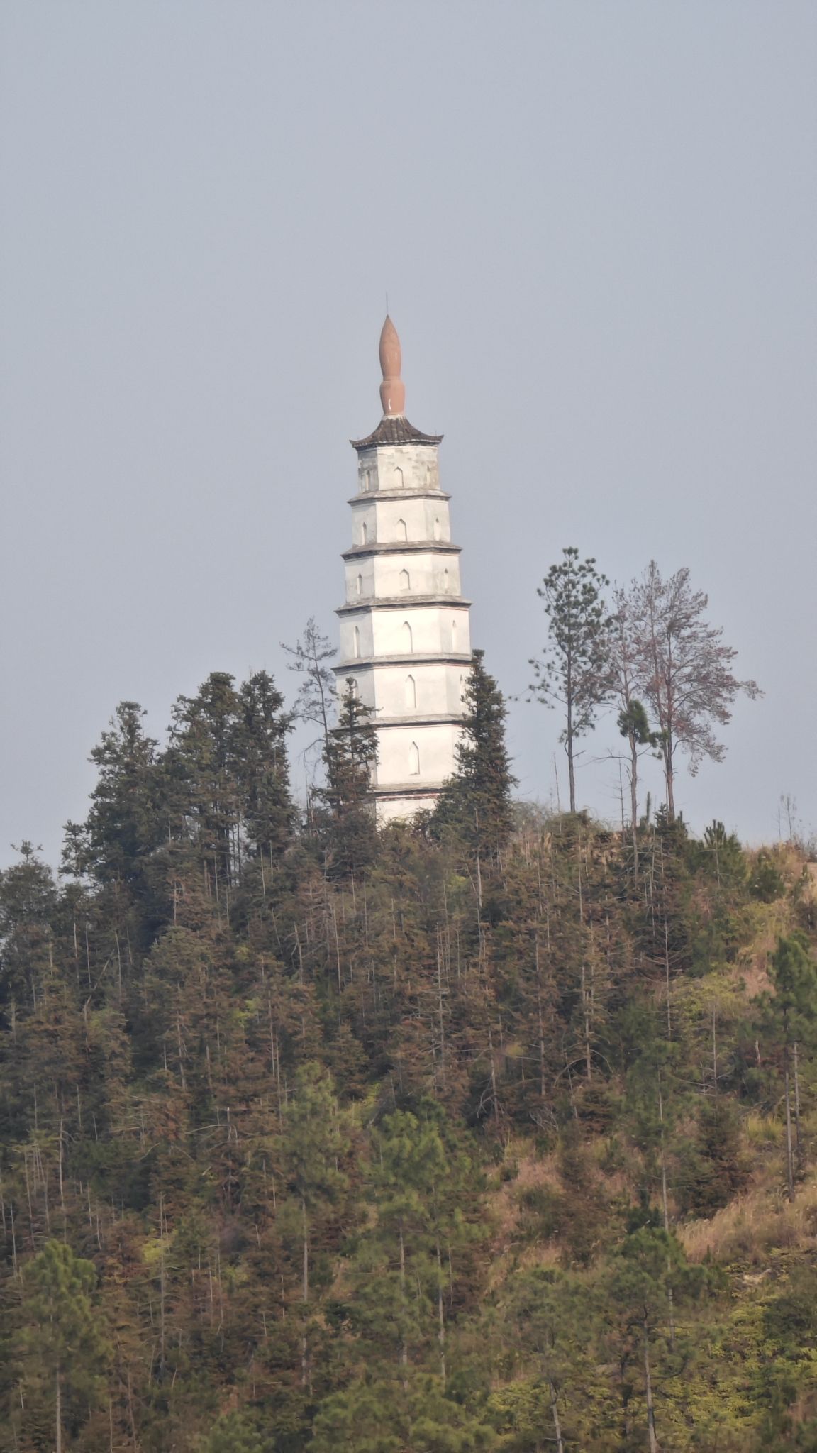 龙峰塔旅行图片 1