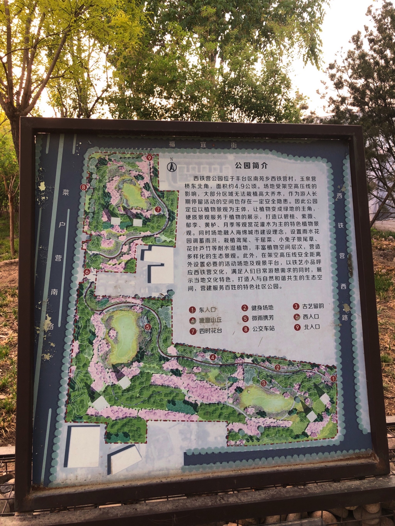 西铁营公园旅行图片 1
