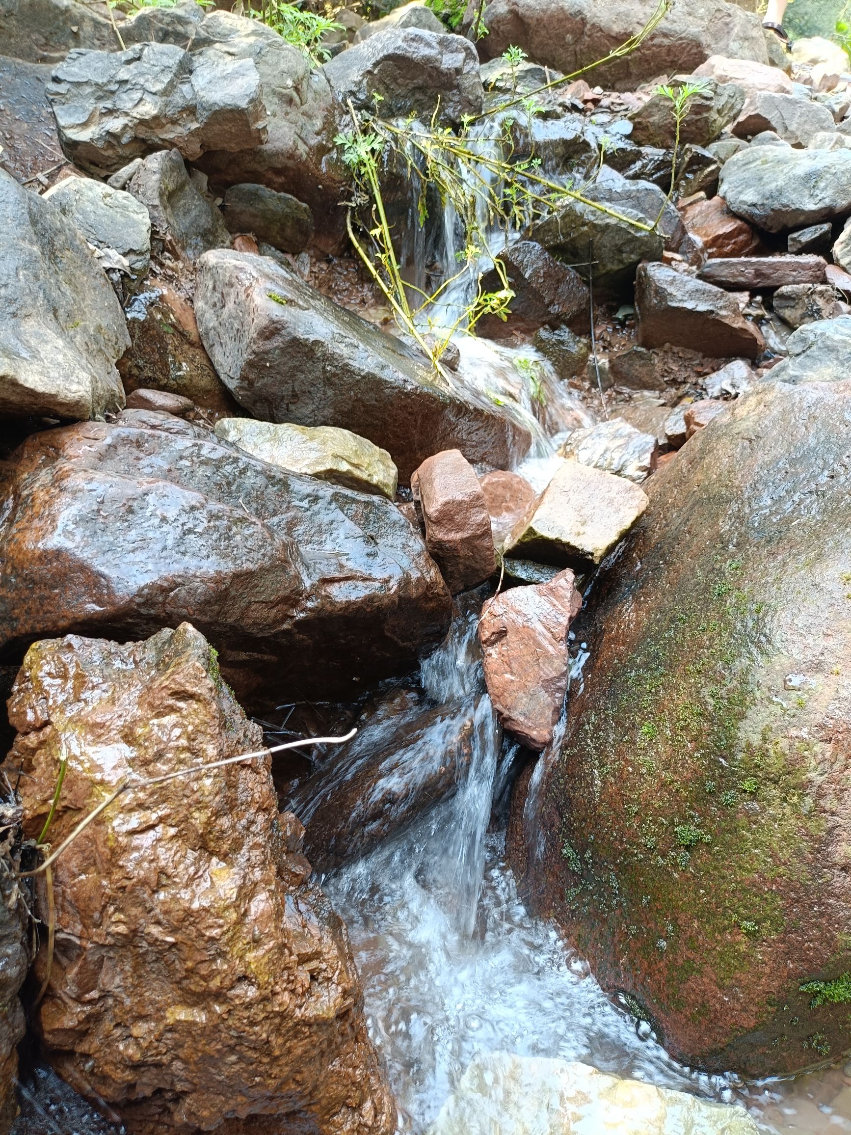 闯王峡旅行图片 1