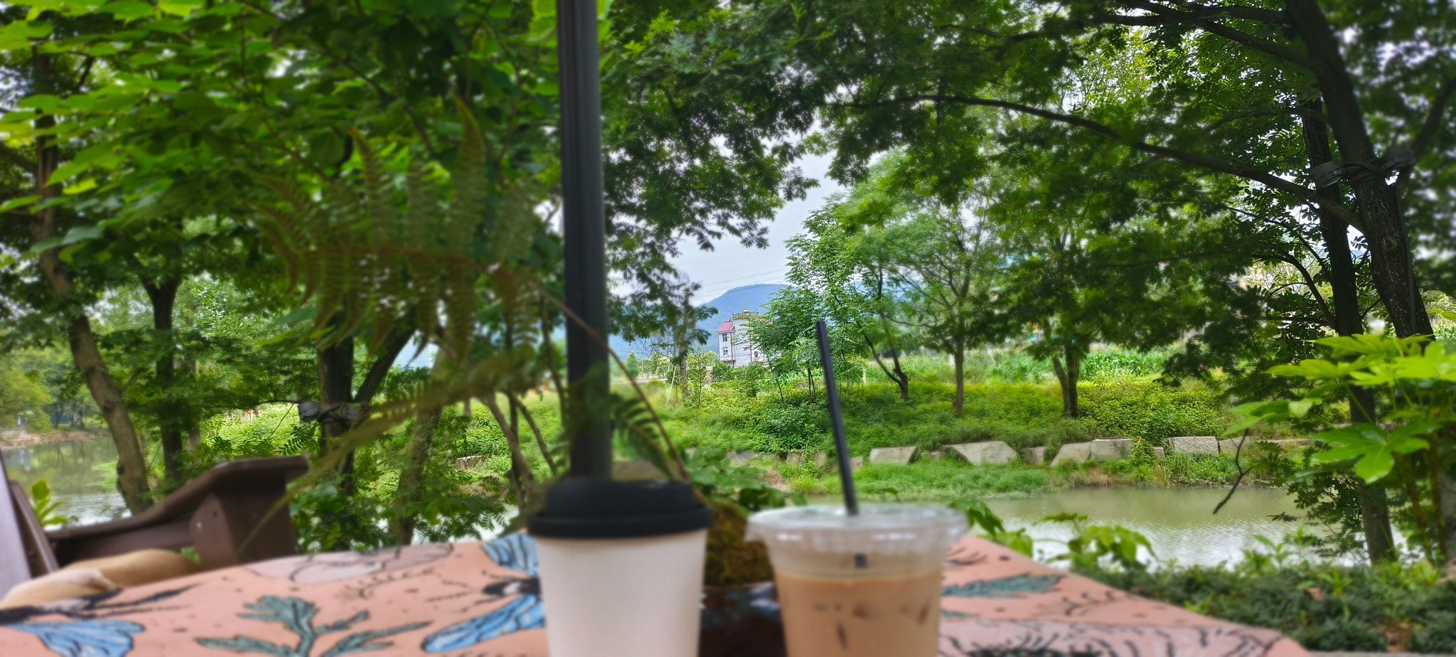 余东村景区旅行图片 1