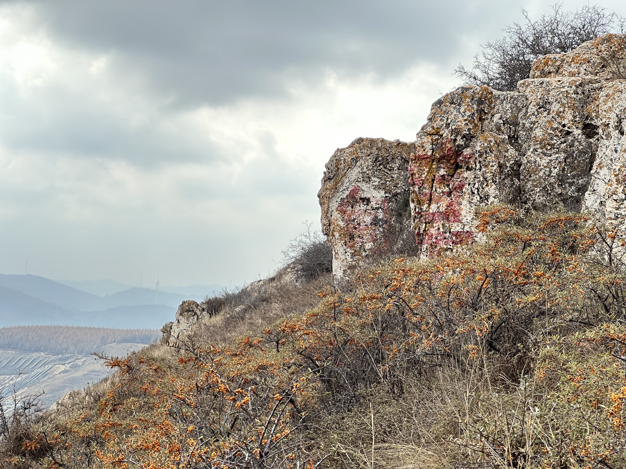 岚县饮马池尉迟恭牧马大草甸旅行图片 1