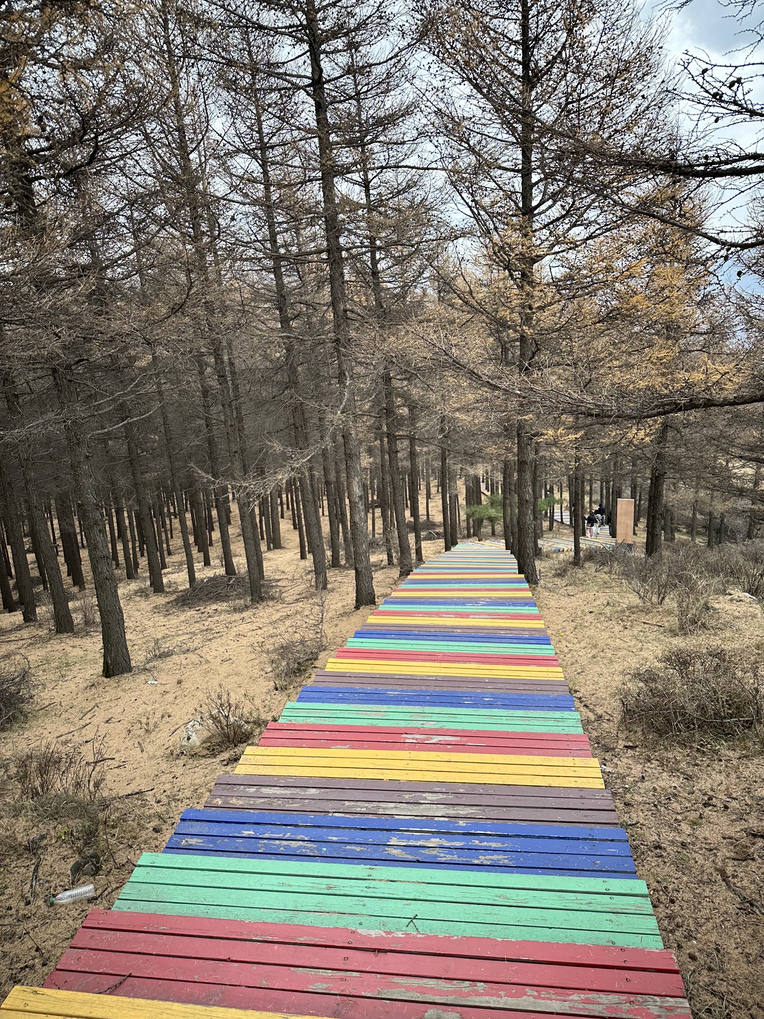 岚县饮马池尉迟恭牧马大草甸旅行图片 2