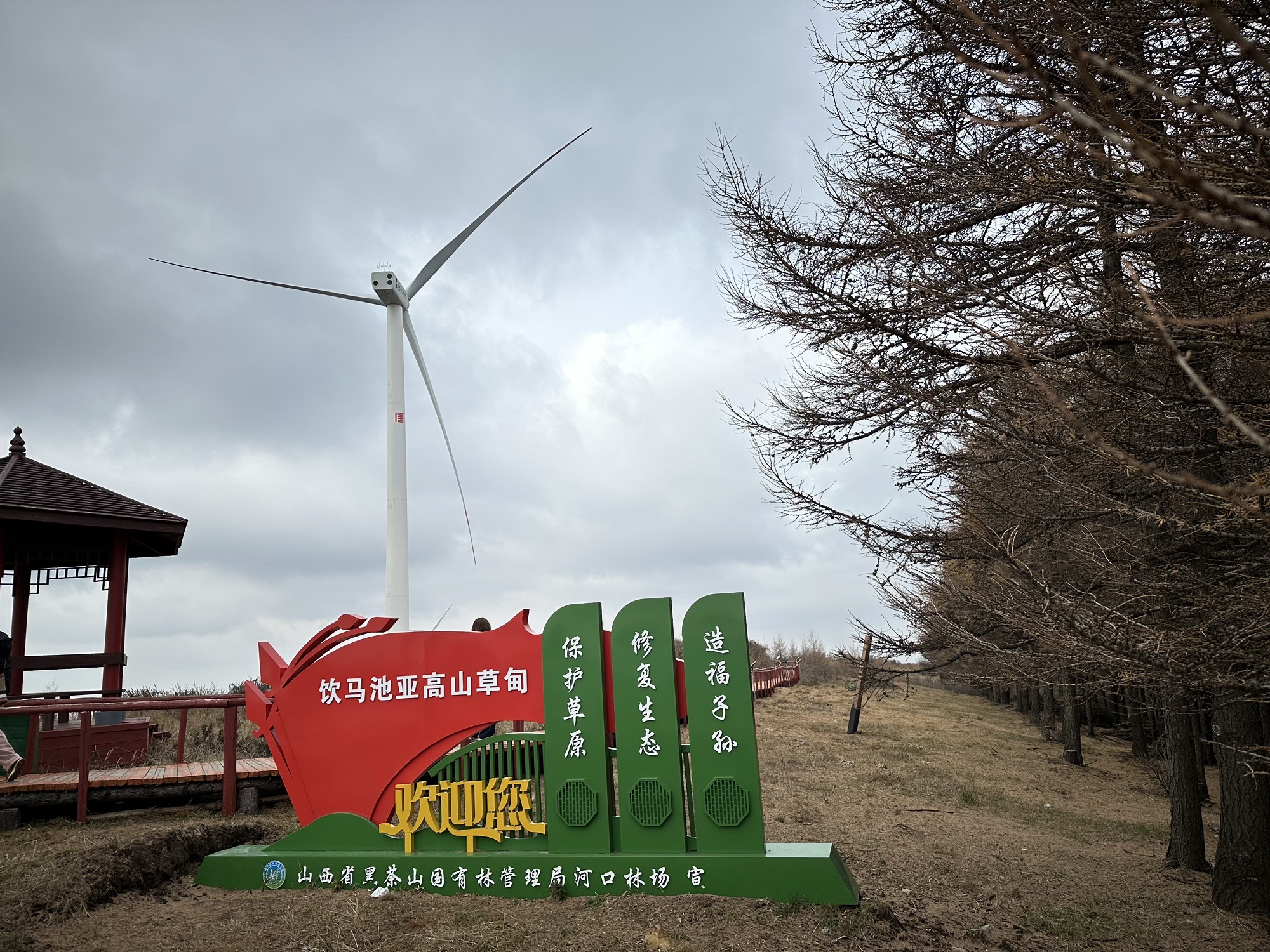 岚县饮马池尉迟恭牧马大草甸旅行图片 3