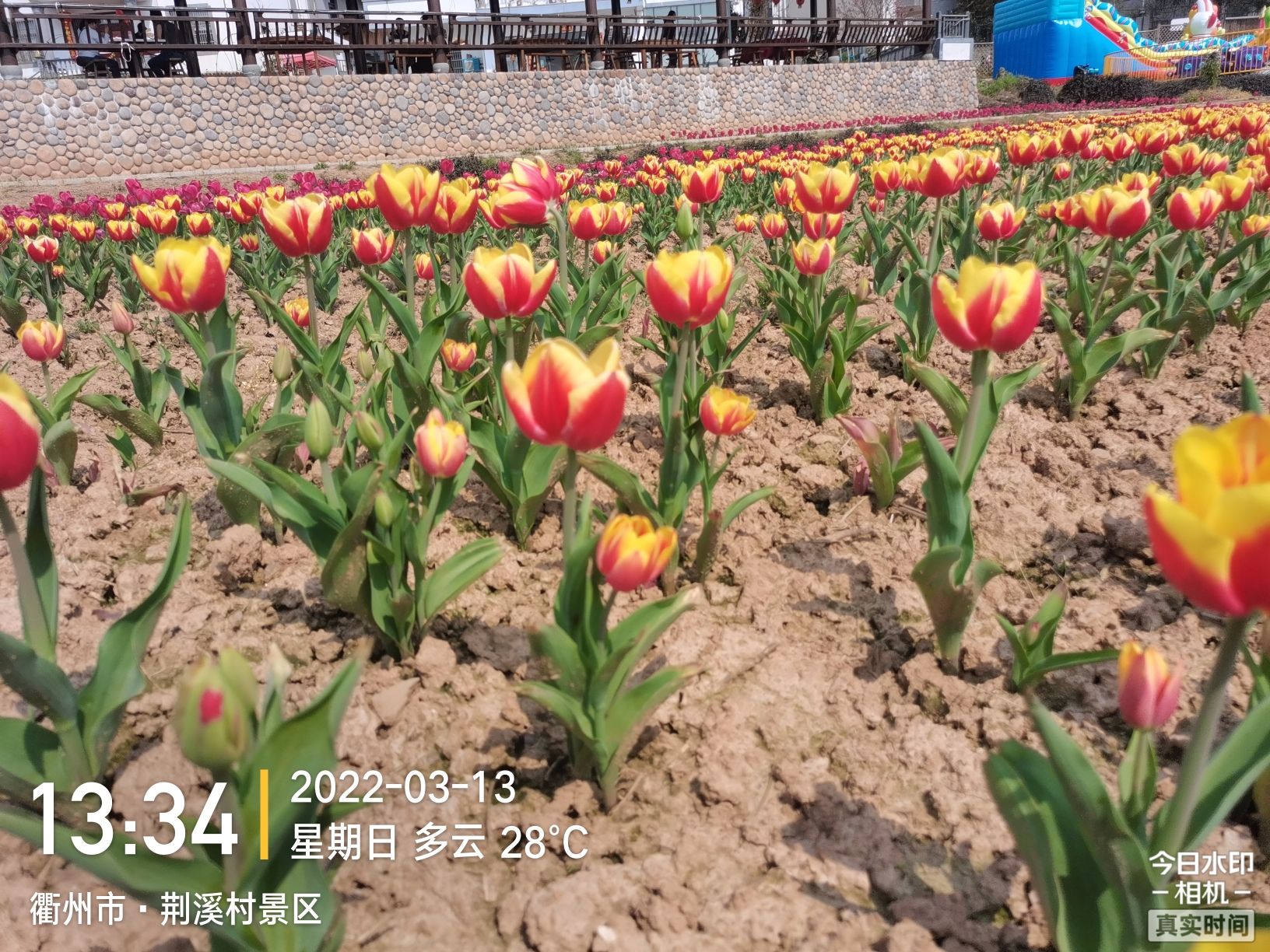荆溪村景区