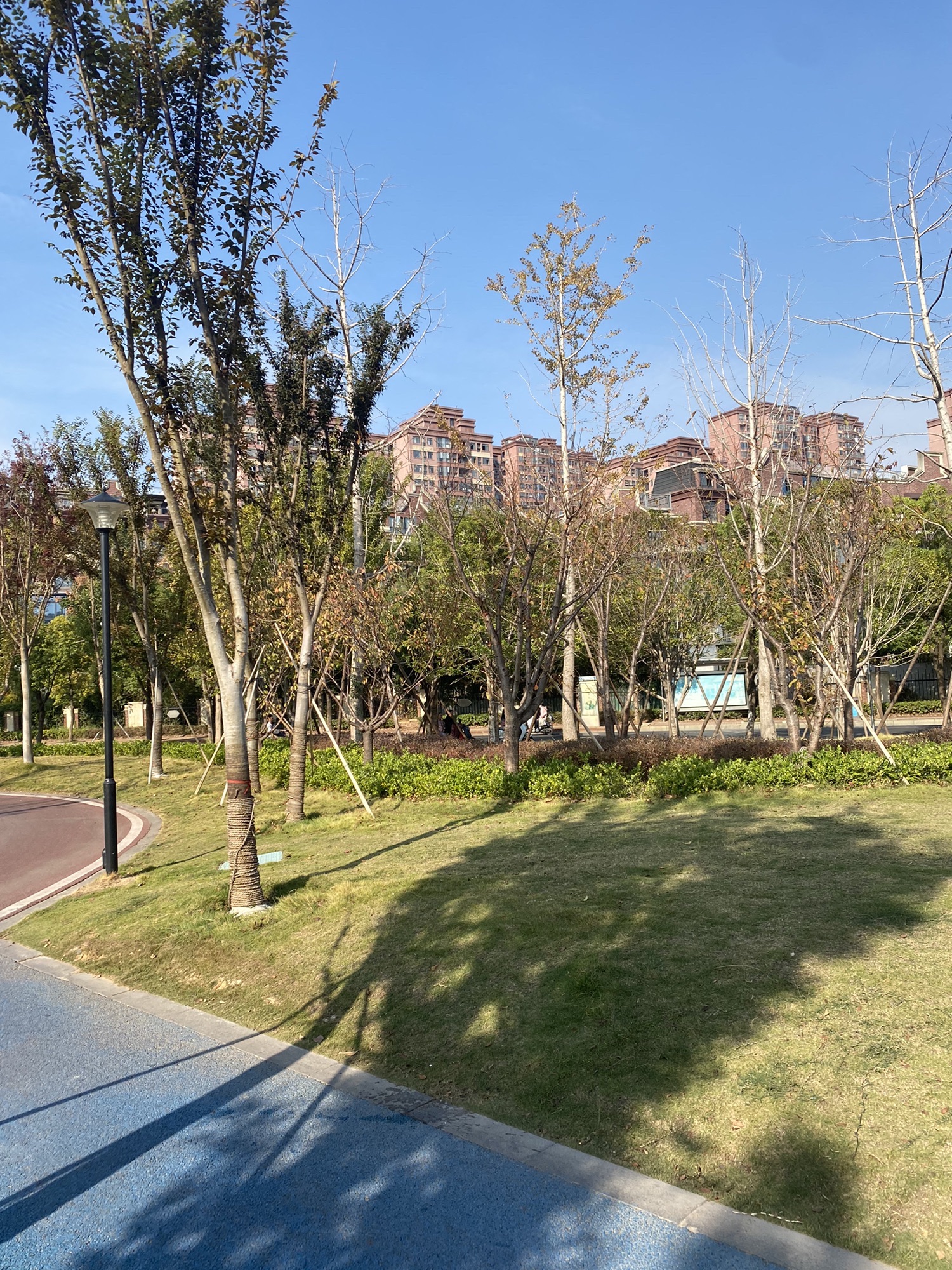 龙潭公园旅行图片 3