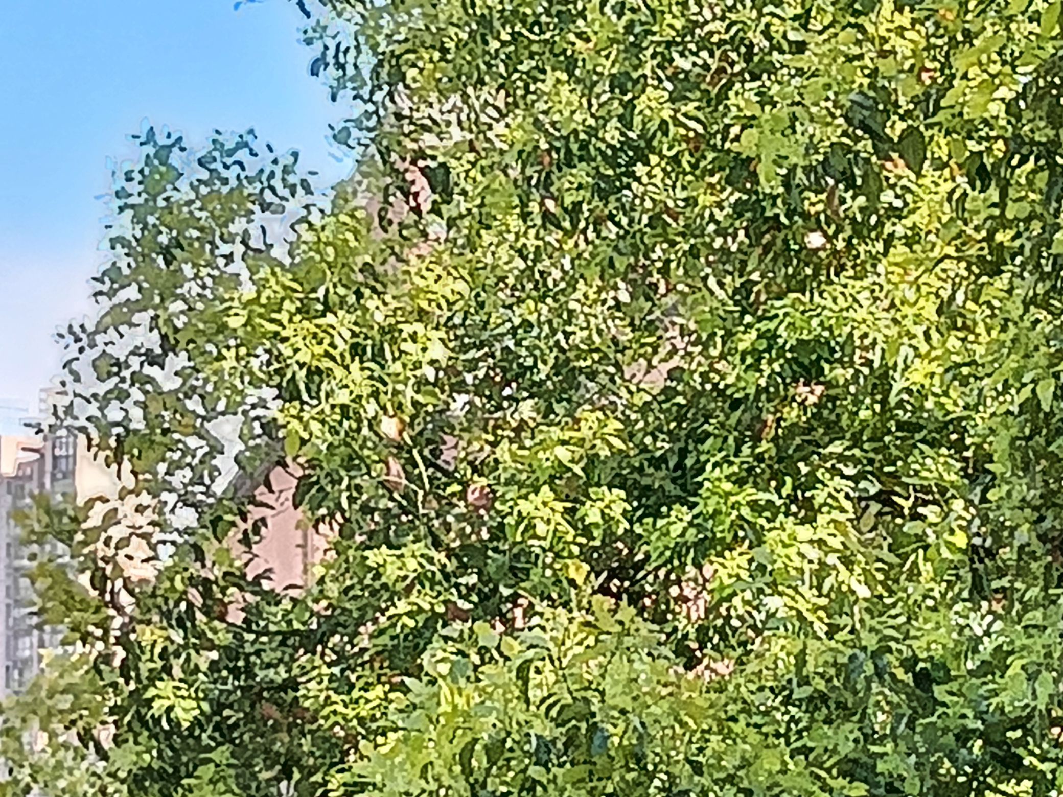 龙潭公园旅行图片 2