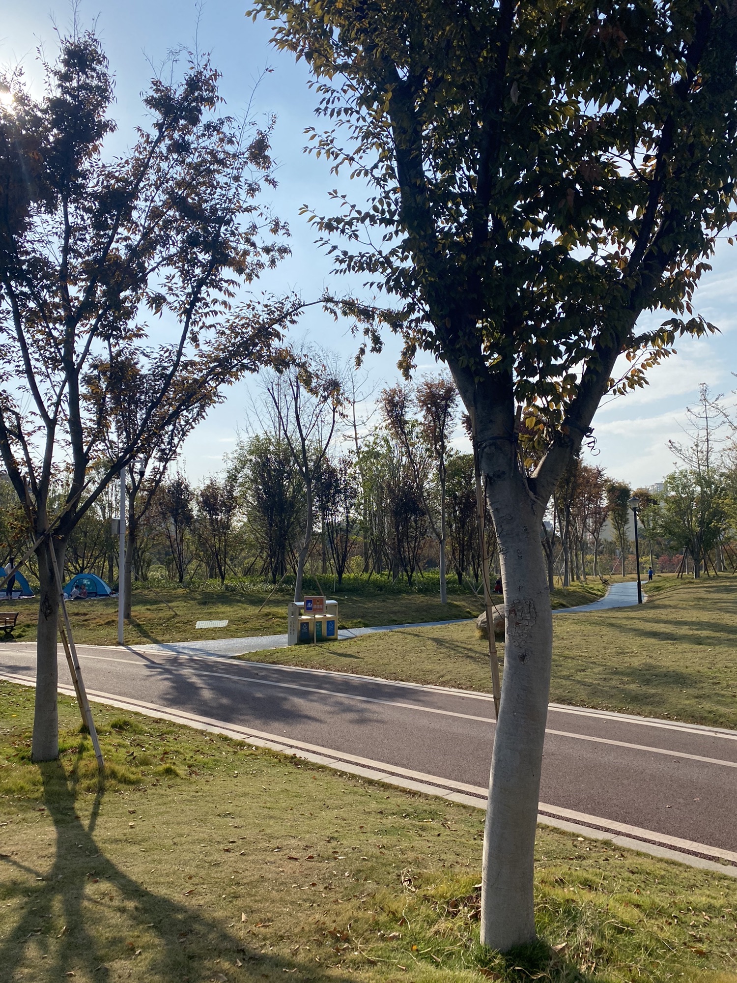 龙潭公园旅行图片 2
