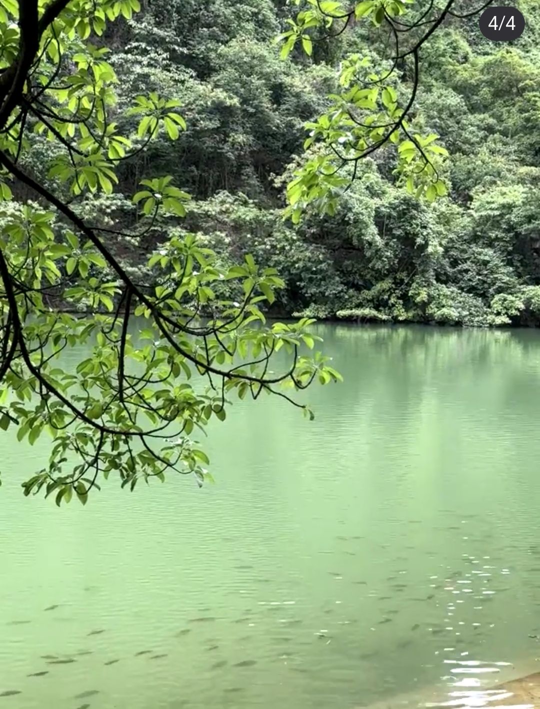 龙潭公园旅行图片 2