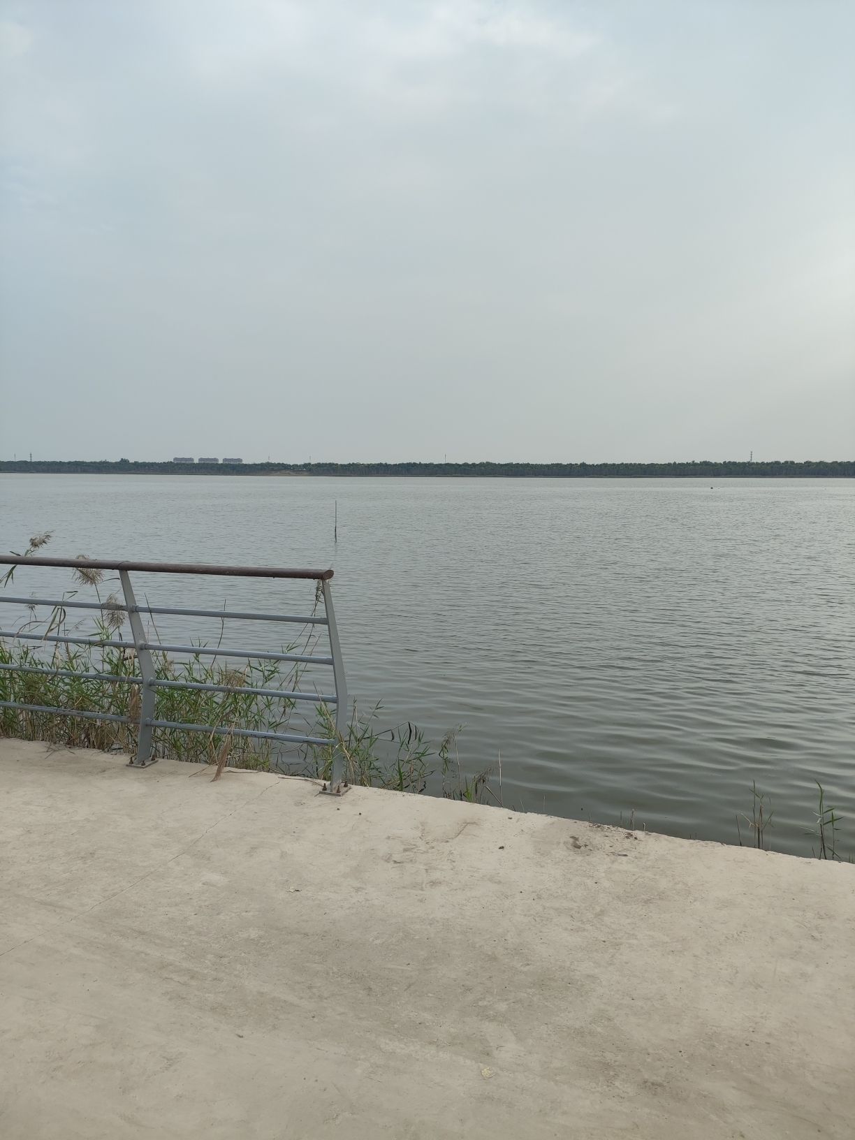 天津南湿地公园旅行图片 2