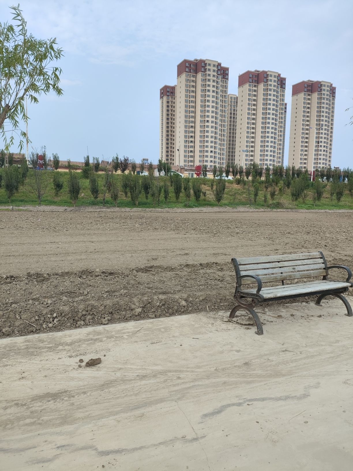 天津南湿地公园旅行图片 3