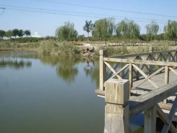 天津南湿地公园旅行图片 1