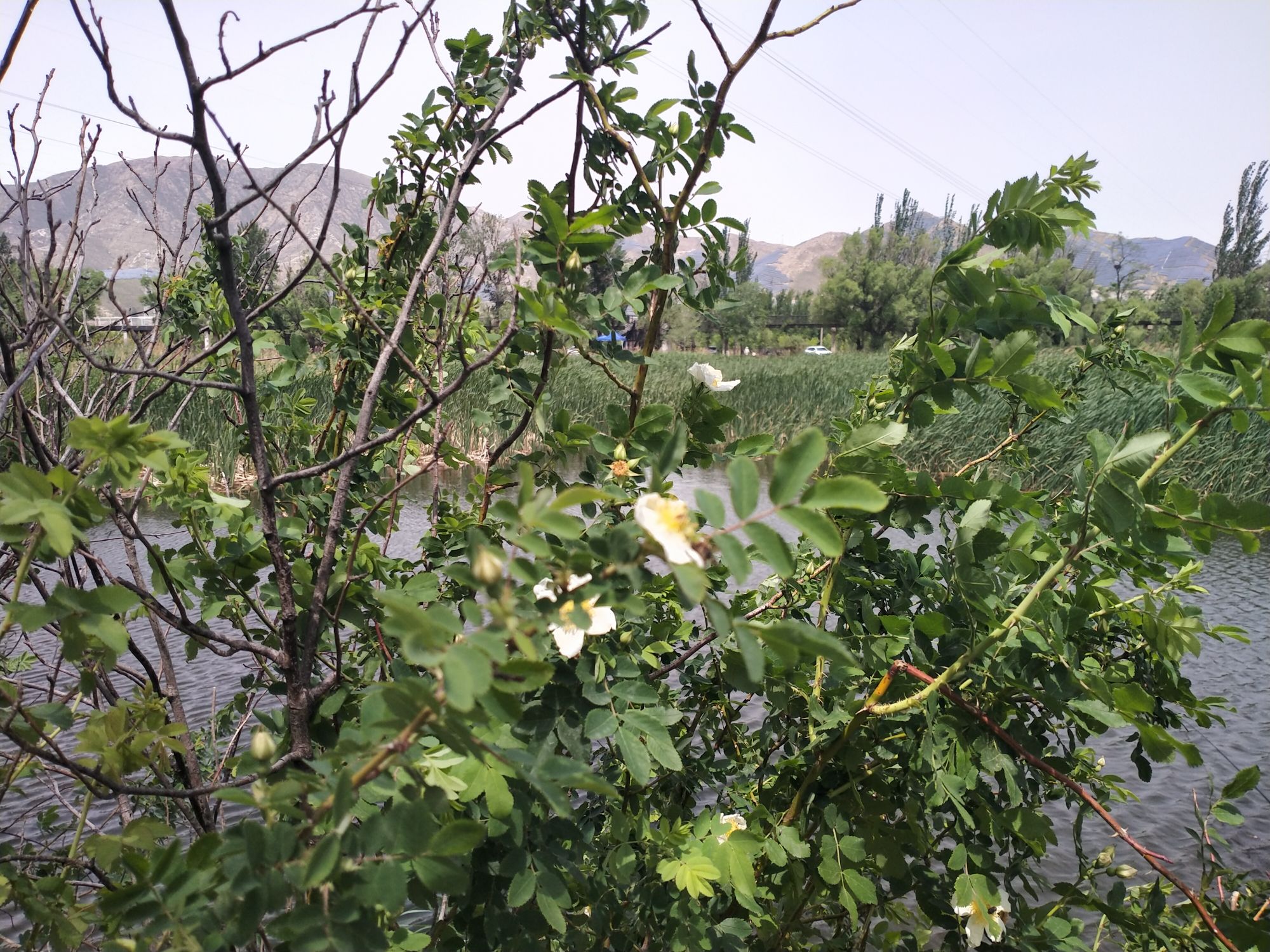 下花园漫水桥旅行图片 2